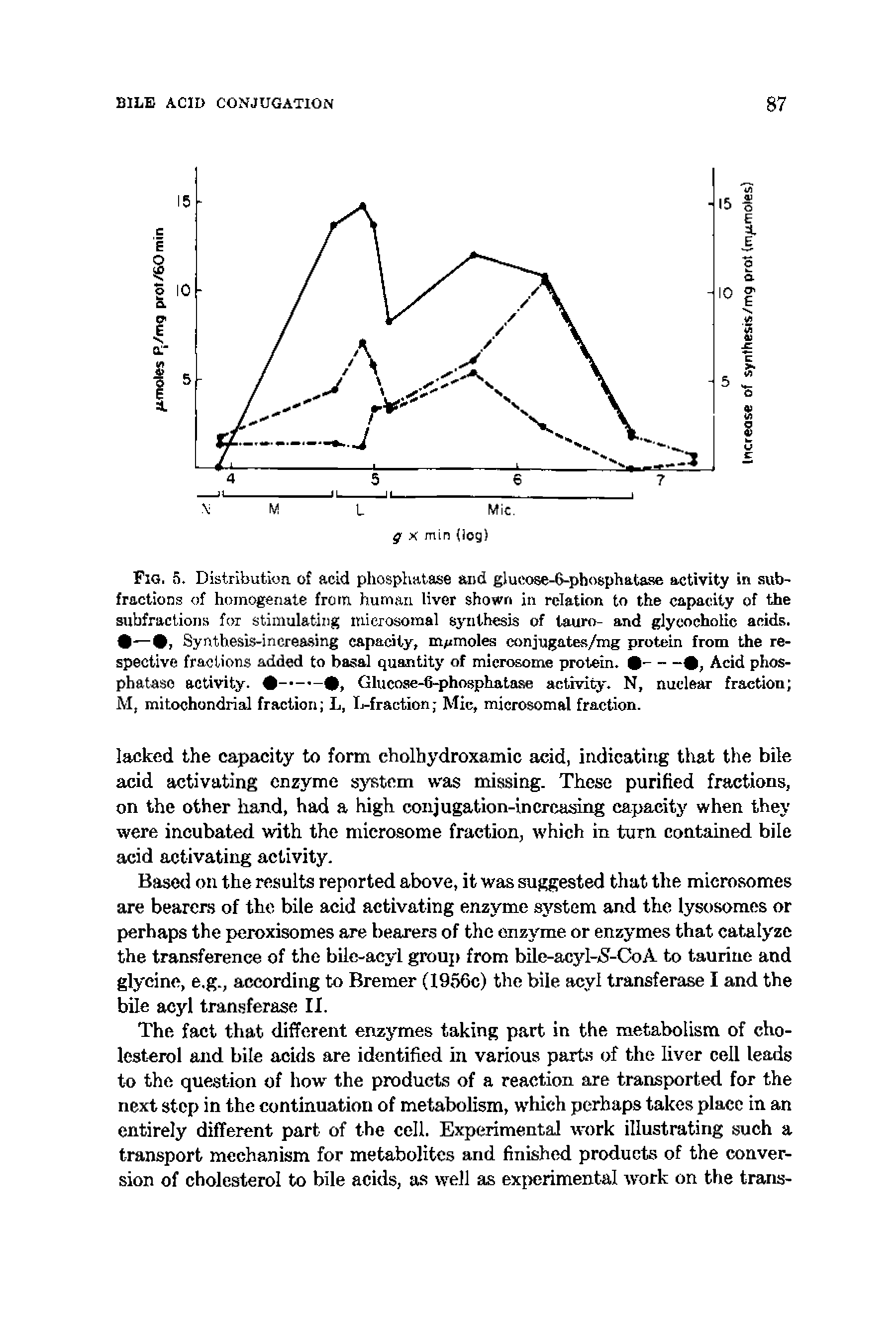 Fig. S. Distribution, of acid phosphatase and giucose-6-phosphataae activity in sub-fractions of homogenate frctn human liver shown in relation to the capacity of Uie subfractions for stimulating m.ierosoraal synthesis of tauro- and glyeocholie acids. C— , Synthesis-increasing capacity, m/jmoles conjugates/mg protein from the respective fractions added to basal quantity of microsome protein. ---- , Acid phosphatase activity. Glucose-S hosphataae activity. N, nuclear fraction ...