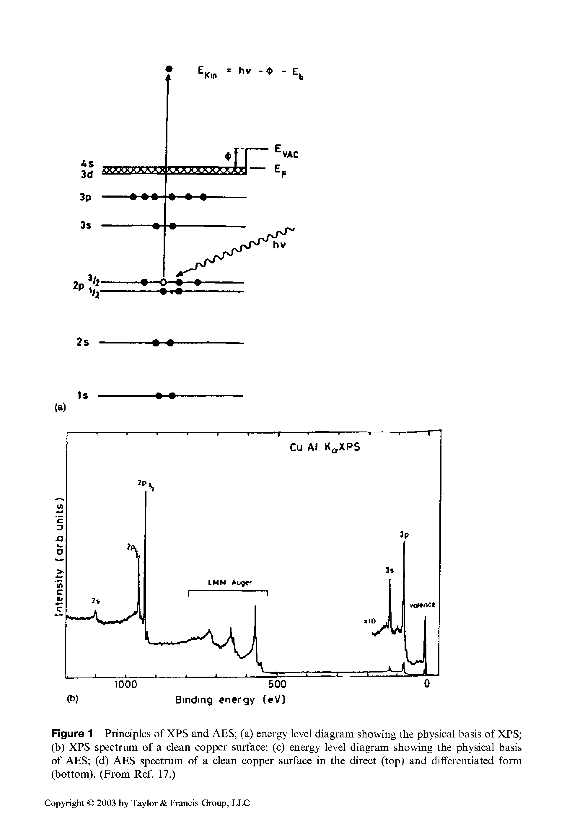 Figure 1 Principles of XPS and AES (a) energy level diagram showing the physical basis of XPS (b) XPS spectrum of a clean copper surface (c) energy level diagram showing the physical basis of AES (d) AES spectrum of a clean copper surface in the direct (top) and dilferentiated form (bottom). (From Ref. 17.)...