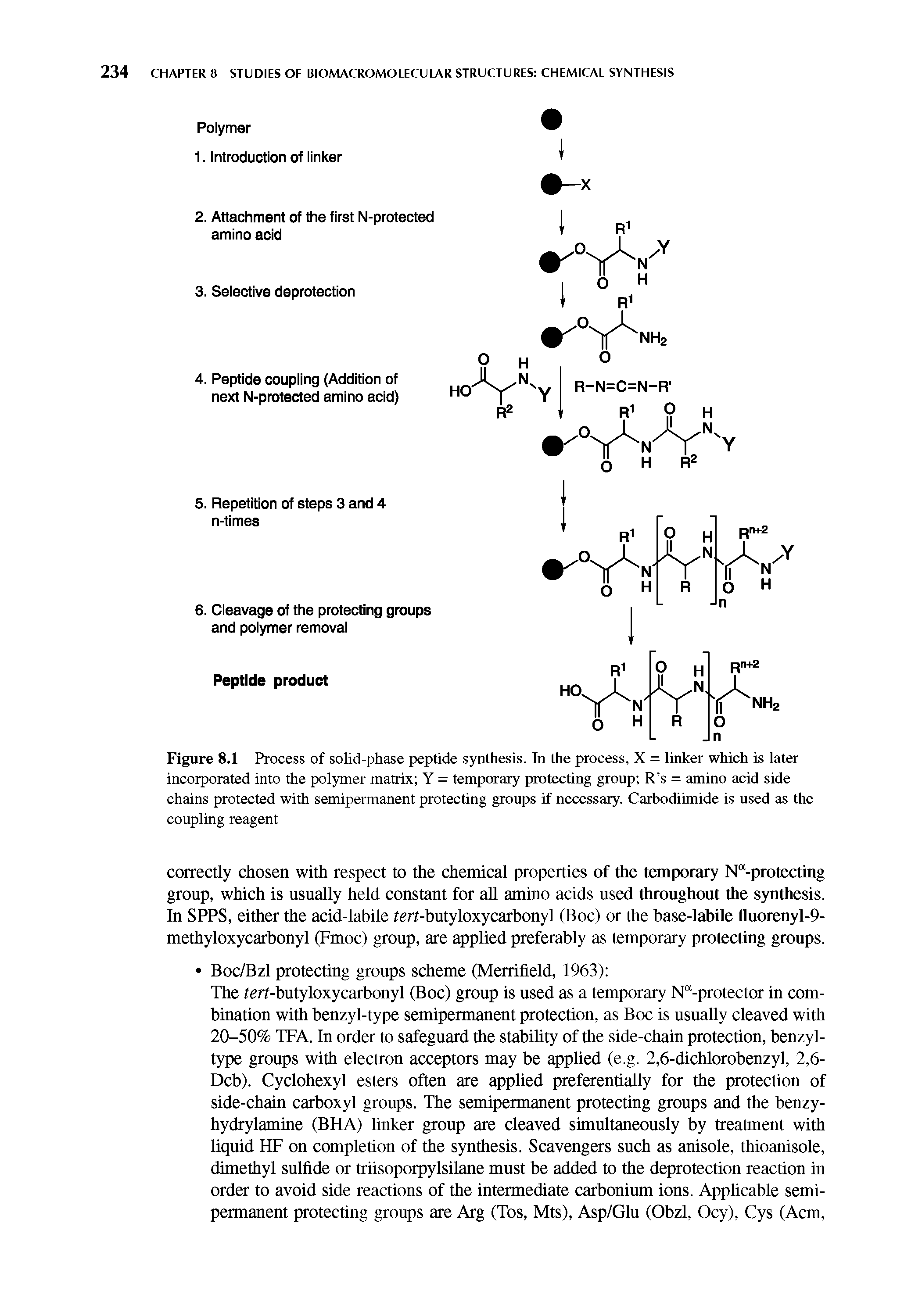 Figure 8.1 Process of solid-phase peptide synthesis. In the process, X = linker which is later incorporated into the polymer matrix Y = temporary protecting group R s = amino acid side chains protected with semipermanent protecting gronps if necessary. Carbodiimide is used as the coupling reagent...
