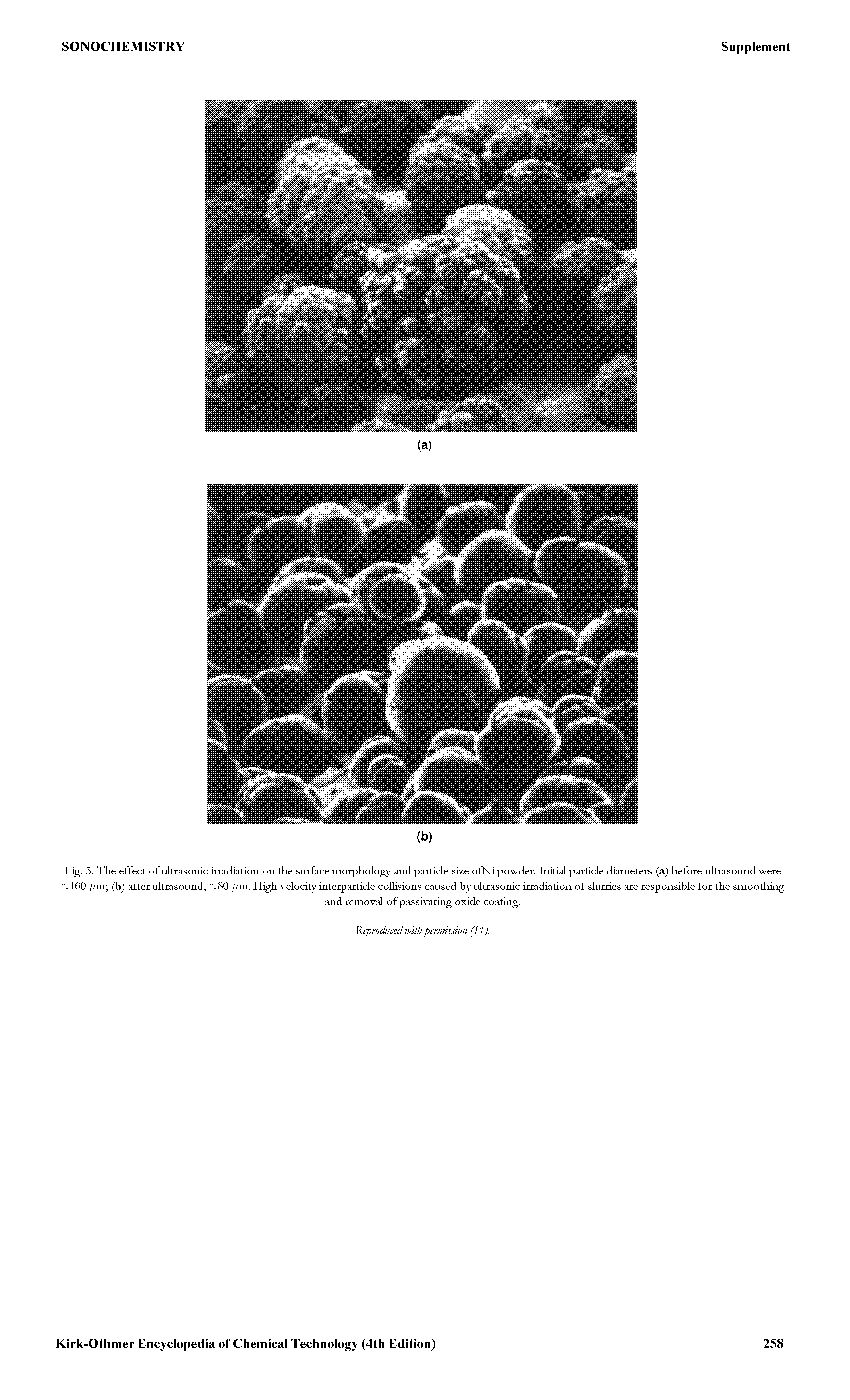 Fig. 5. The effect of ultrasonic irradiation on the surface morphology and particle size ofNi powder. Initial particle diameters (a) before ultrasound were i 160 fim-, (b) after ultrasound, fim. High velocity interparticle coUisions caused by ultrasonic irradiation of slurries are responsible for the smoothing...