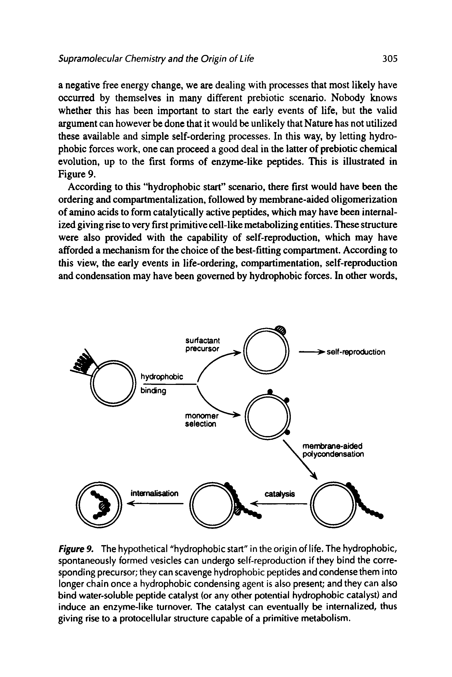 Figure 9. The hypothetical "hydrophobic start" in the origin of life. The hydrophobic, spontaneously formed vesicles can undergo self-reproduction if they bind the corresponding precursor they can scavenge hydrophobic peptides and condense them into longer chain once a hydrophobic condensing agent is also present and they can also bind water-soluble peptide catalyst (or any other potential hydrophobic catalyst) and induce an enzyme-like turnover. The catalyst can eventually be internalized, thus giving rise to a protocellular structure capable of a primitive metabolism.