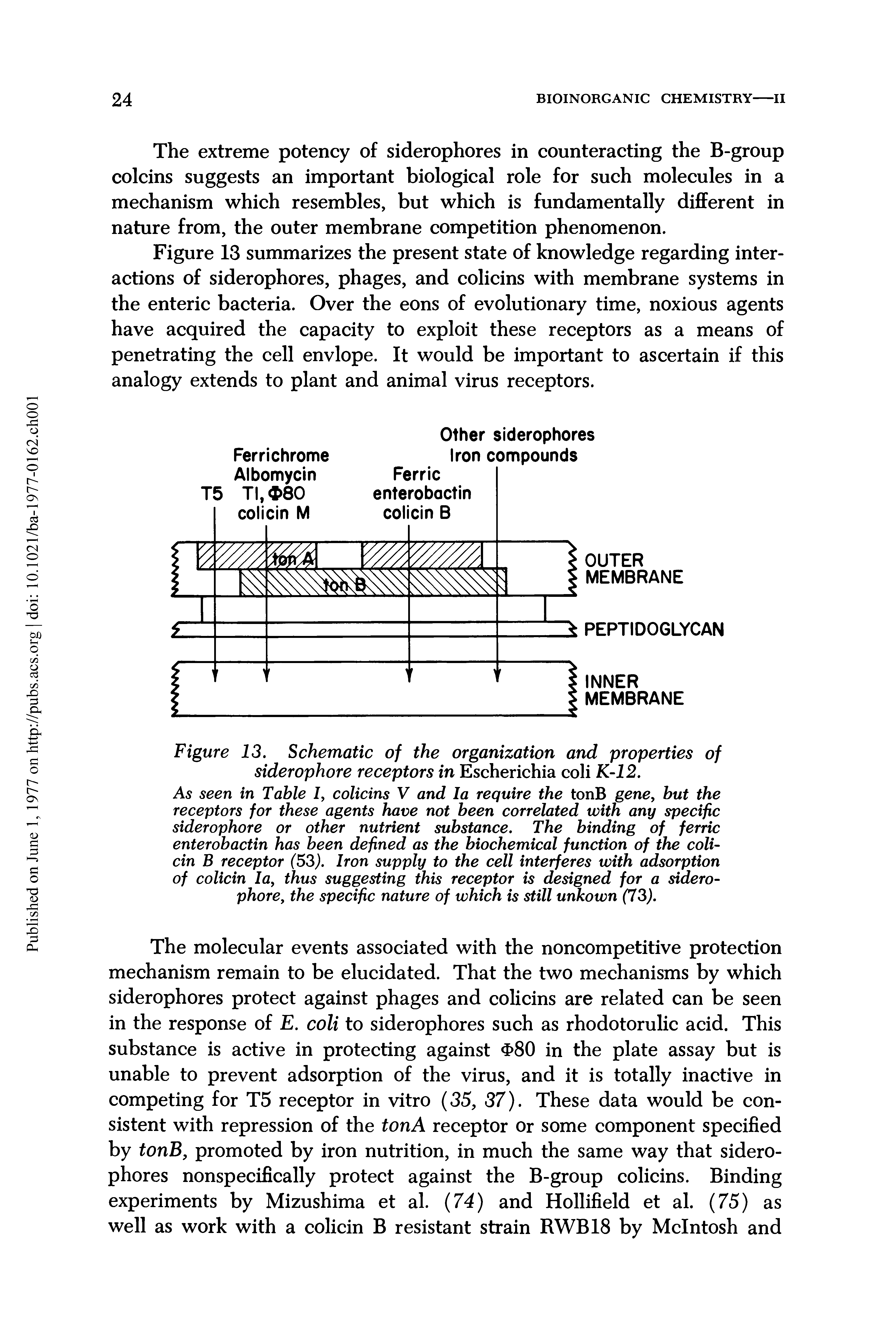 Figure 13. Schematic of the organization and properties of siderophore receptors in Escherichia coli K-12.