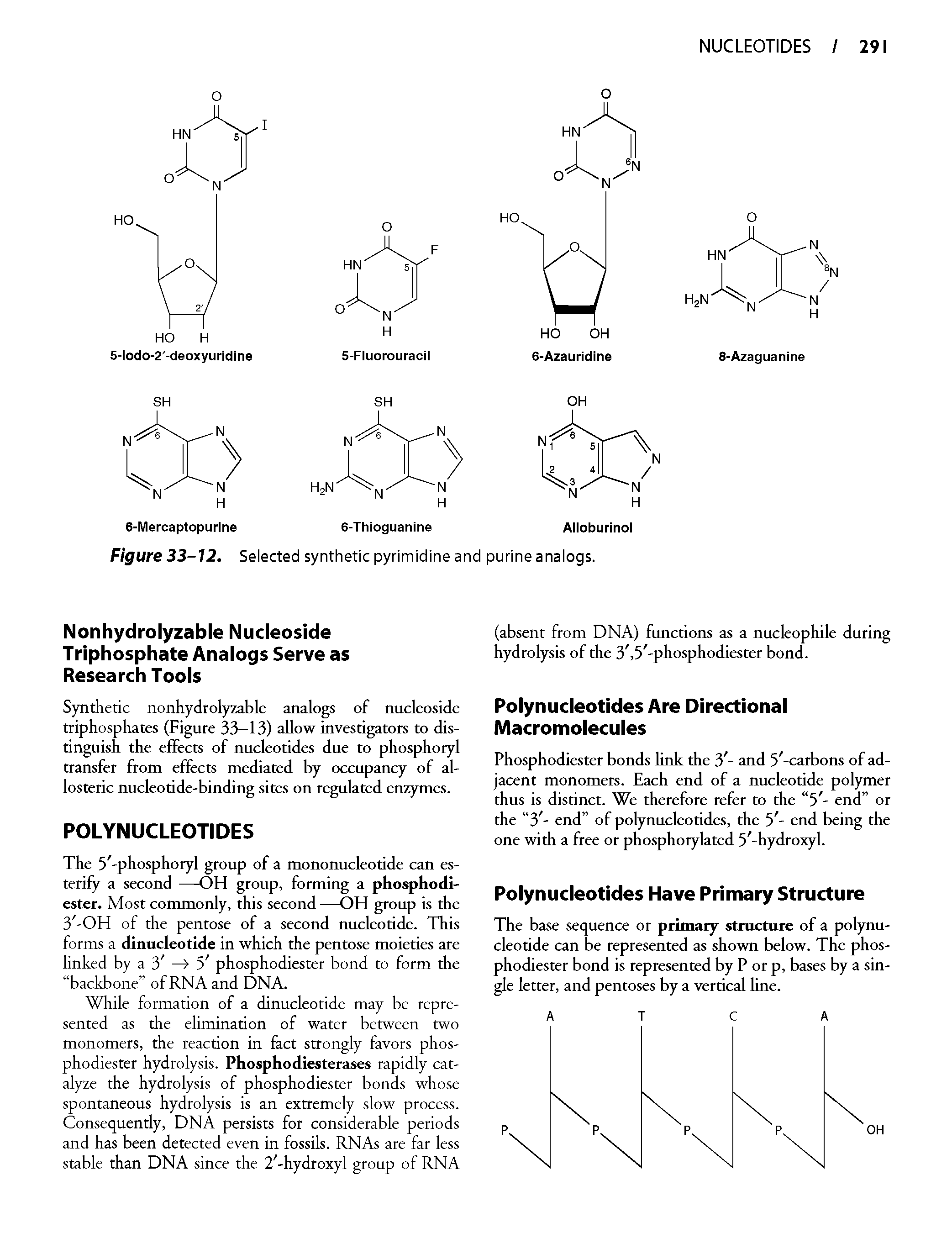 Figure 33-12. Selected synthetic pyrimidine and purine analogs.