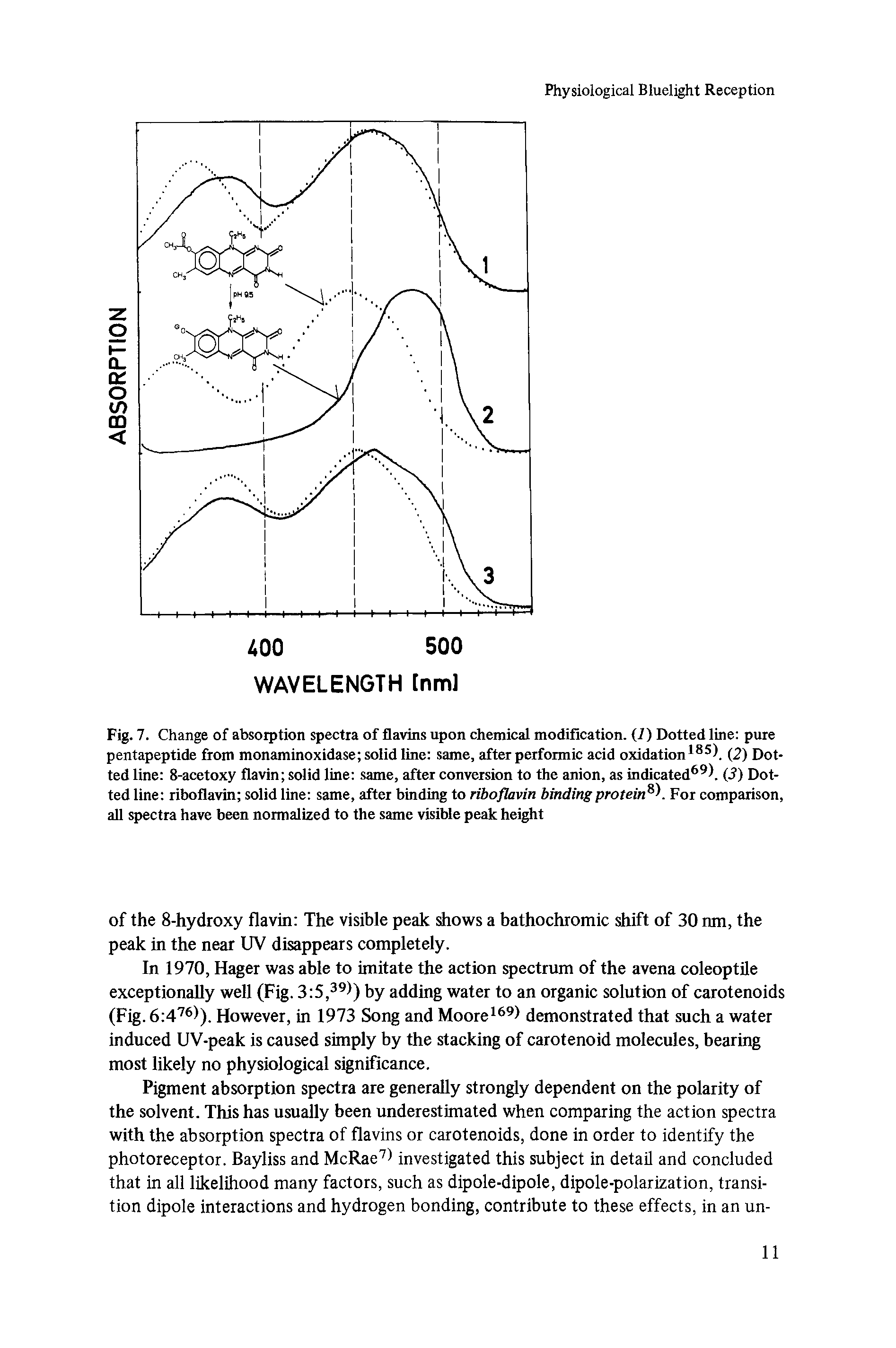 Fig. 7. Change of absorption spectra of flavins upon chemical modification. (7) Dotted line pure pentapeptide from monaminoxidase solid line same, after performic acid oxidation185). (2) Dotted line 8-acetoxy flavin solid line same, after conversion to the anion, as indicated69). (2) Dotted line riboflavin solid line same, after binding to riboflavin binding protein8). For comparison, all spectra have been normalized to the same visible peak height...