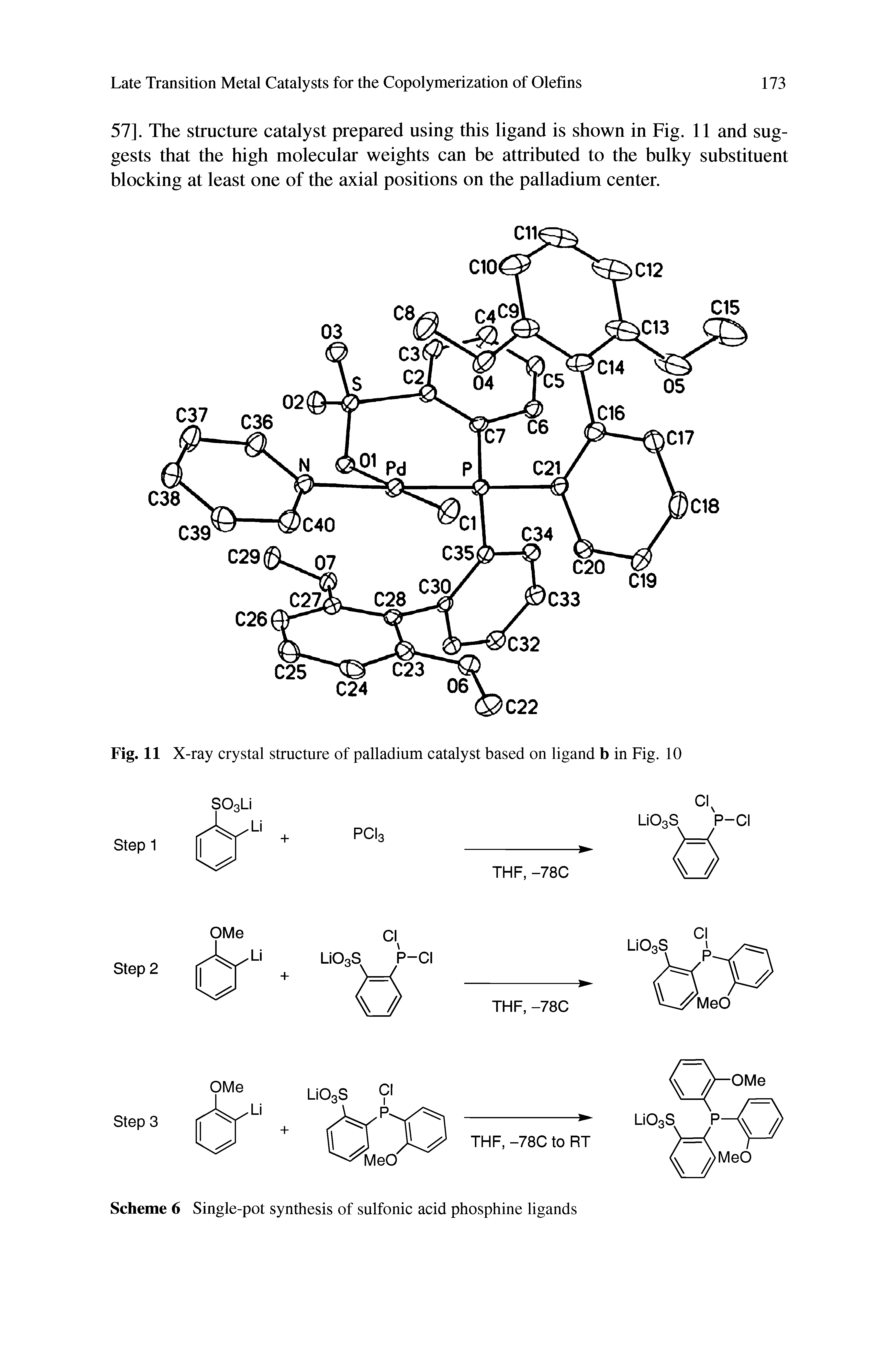Scheme 6 Single-pot synthesis of sulfonic acid phosphine ligands...