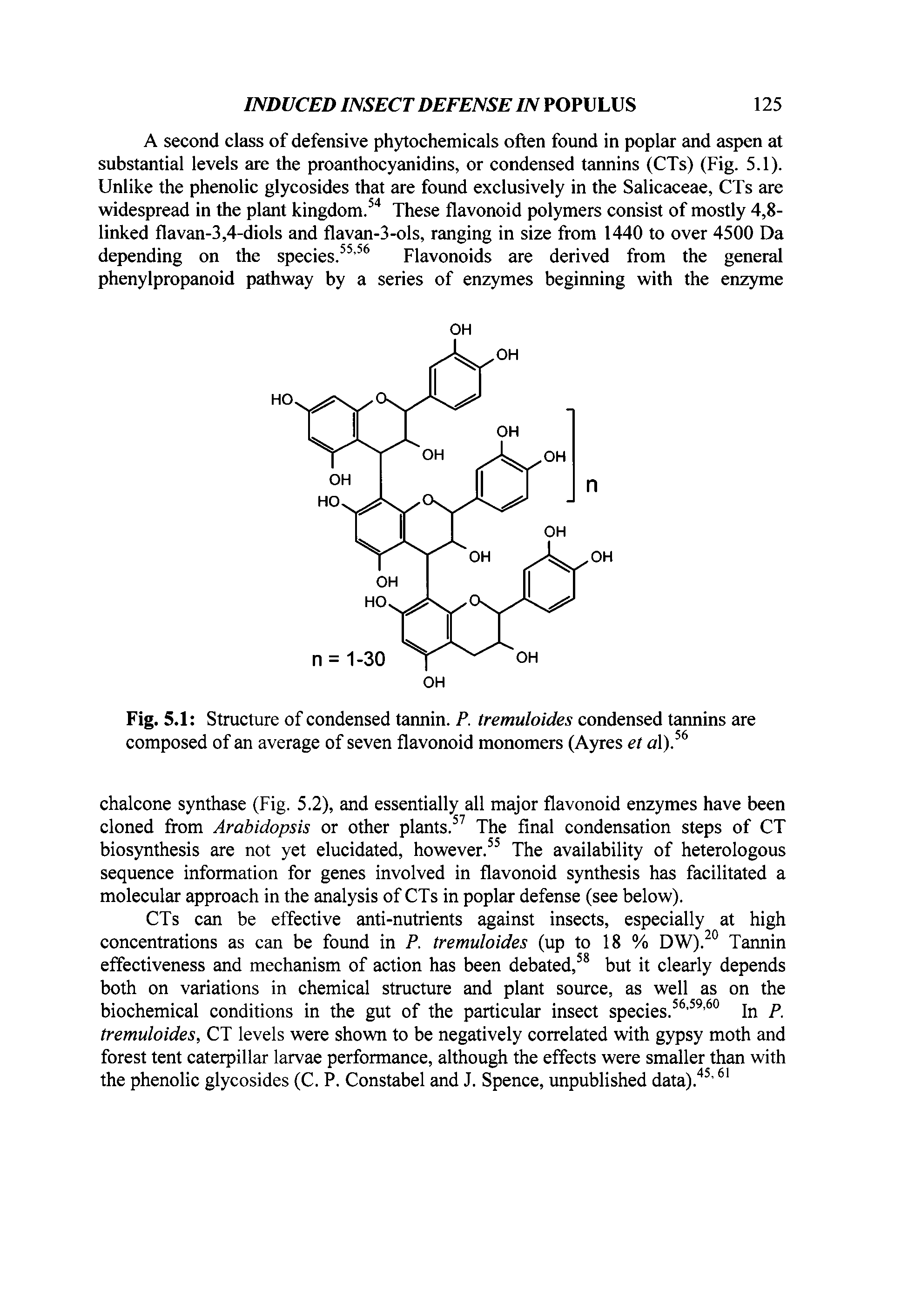 Fig. 5.1 Structure of condensed tannin. P. tremuloides condensed tannins are composed of an average of seven flavonoid monomers (Ayres et a ). ...