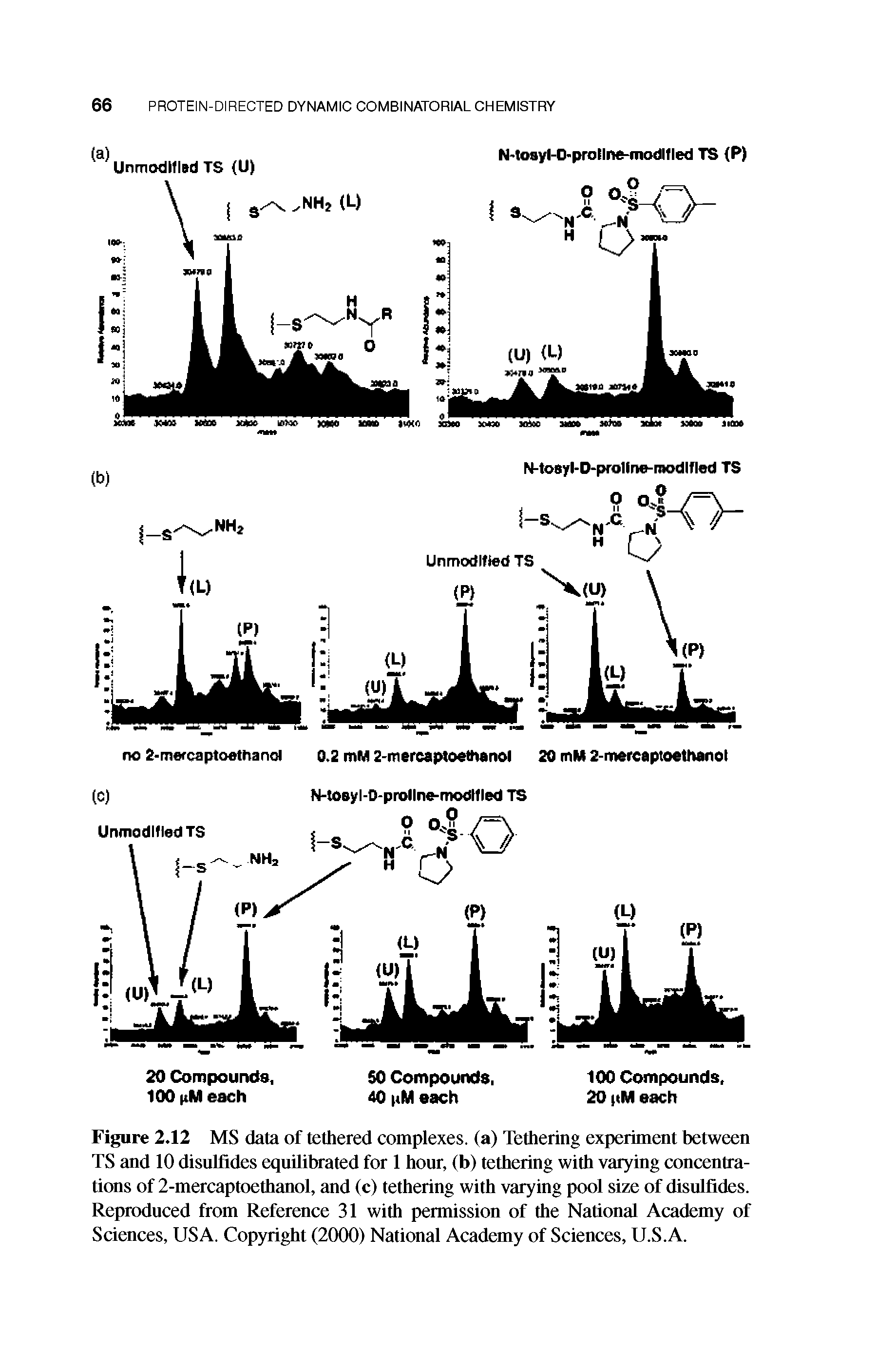 Figure 2.12 MS data of tethered complexes, (a) Tethering experiment between TS and 10 disulfides equilibrated for 1 hour, (b) tethering with varying concentrations of 2-mercaptoethanol, and (c) tethering with varying pool size of disulfides. Reproduced from Reference 31 with permission of the National Academy of Sciences, USA. Copyright (2000) National Academy of Sciences, U.S.A.