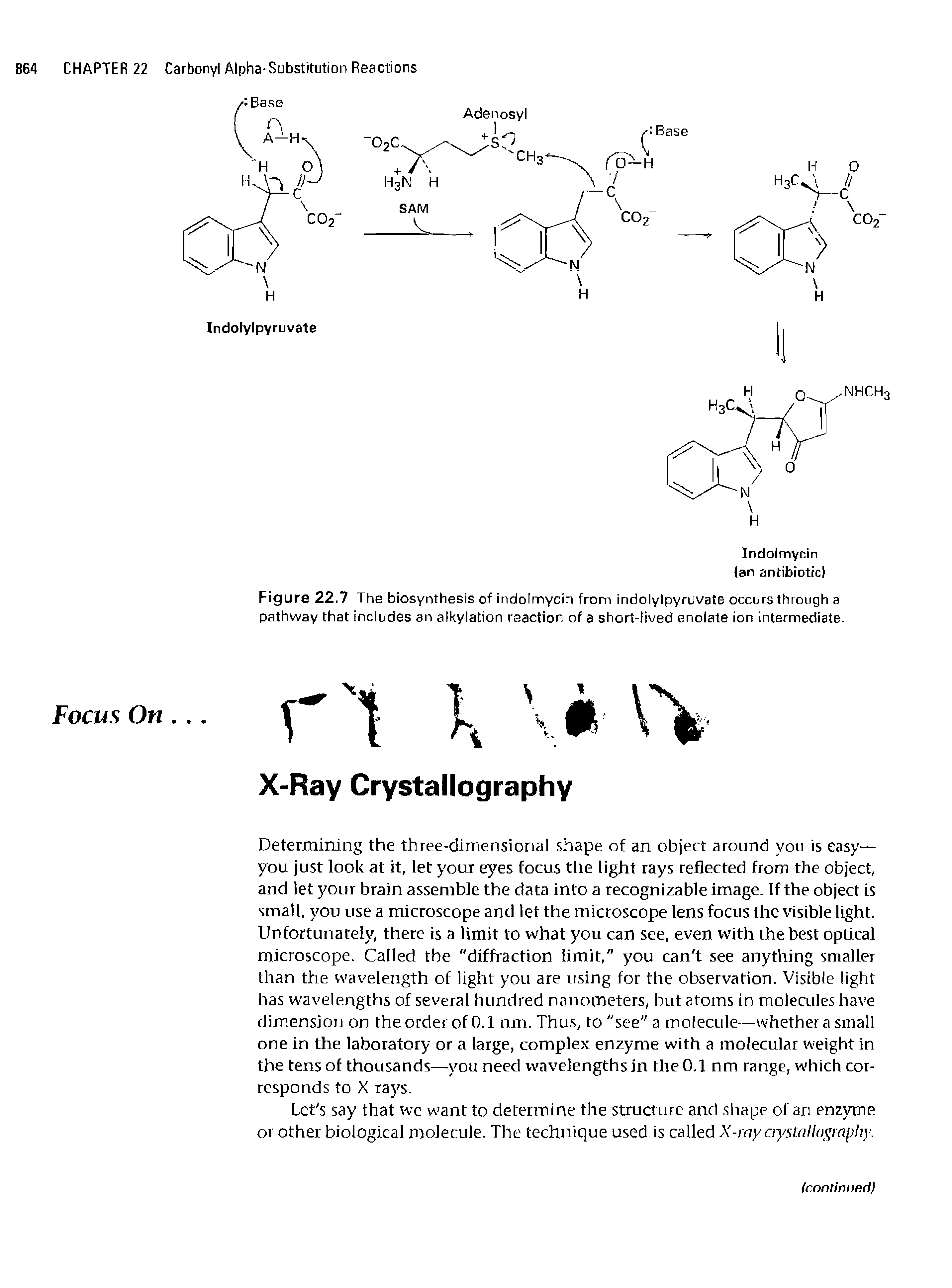 Figure 22.7 The biosynthesis of indolmycin from indolylpyruvate occurs through a pathway that includes an alkylation reaction of a short-lived enolate ion intermediate.