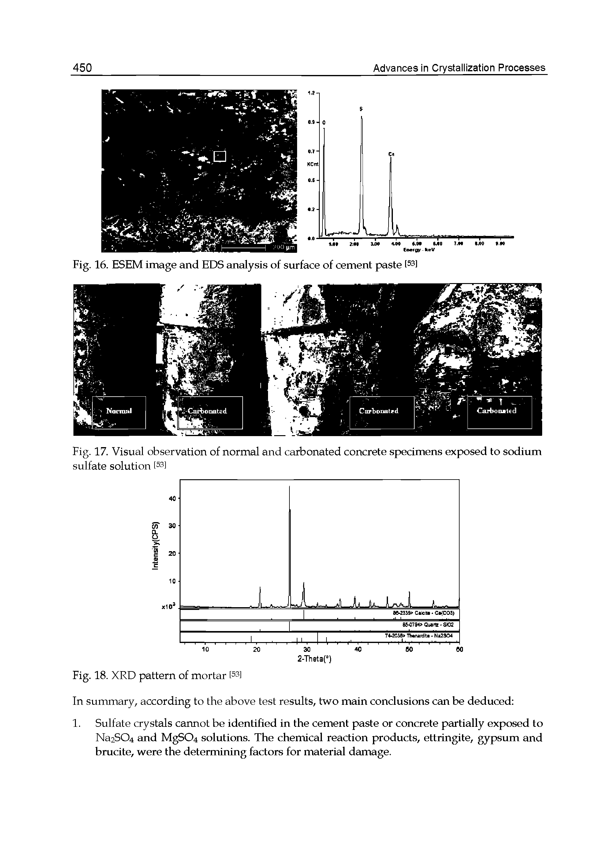 Fig. 16. ESEM image and EDS analysis of surface of cement paste...
