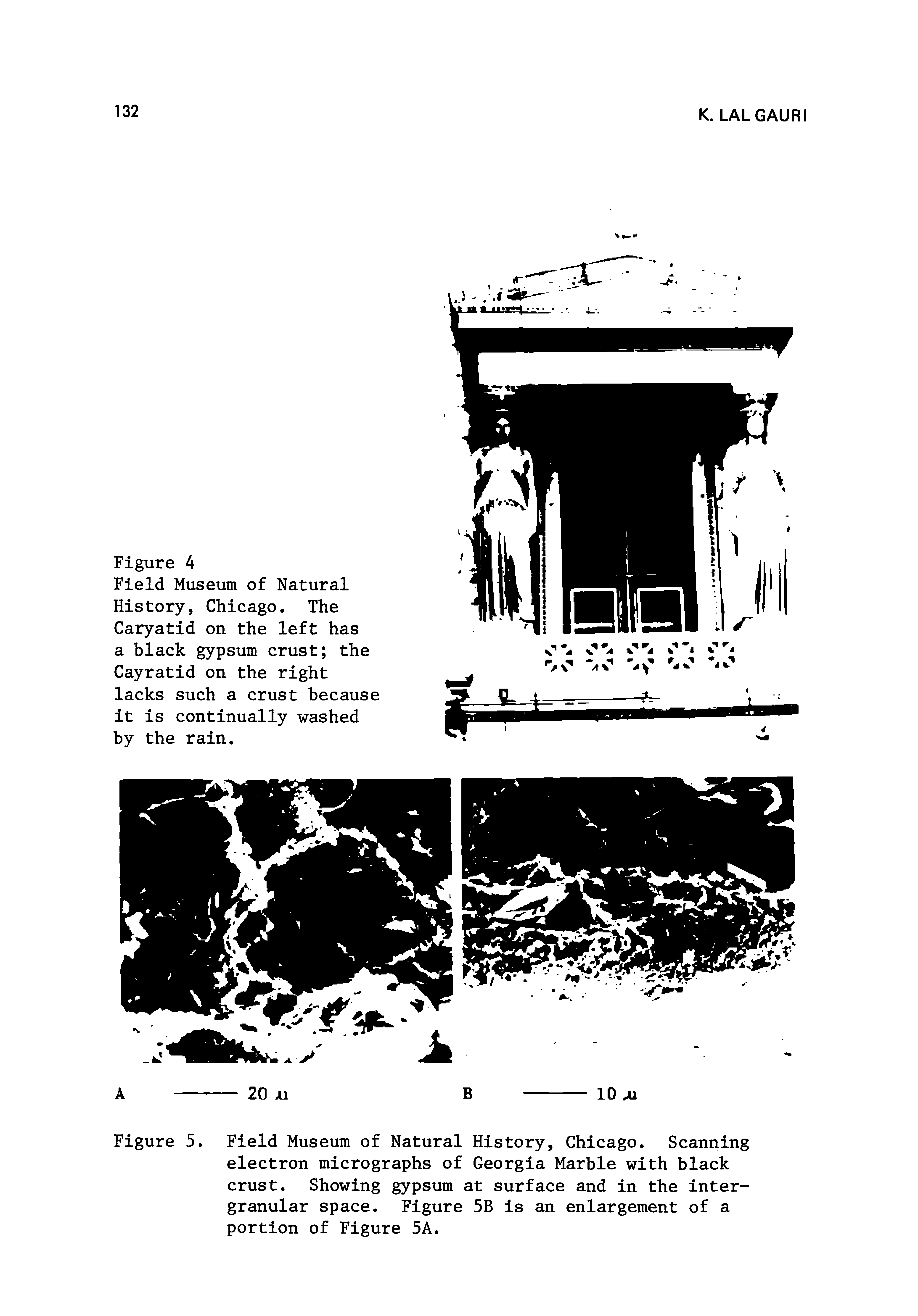 Figure 5. Field Museum of Natural History, Chicago. Scanning electron micrographs of Georgia Marble with black crust. Showing gypsum at surface and in the intergranular space. Figure 5B is an enlargement of a portion of Figure 5A.