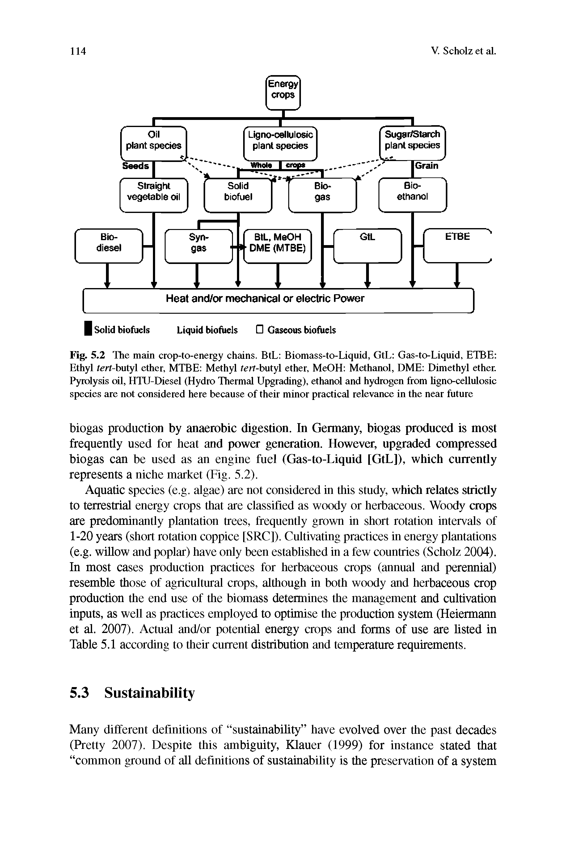 Fig. 5.2 The main crop-to-energy chains. BtL Biomass-to-Liquid, GtL Gas-to-Liquid, ETBE Ethyl tert-butyl ether, MTBE Methyl tert-butyl ether, MeOH Methanol, DME Dimethyl ether. Pyrolysis oil, HTU-Diesel (Hydro Thermal Upgrading), ethanol and hydrogen from ligno-cellulosic species are not considered here because of their minor practical relevance in the near future...