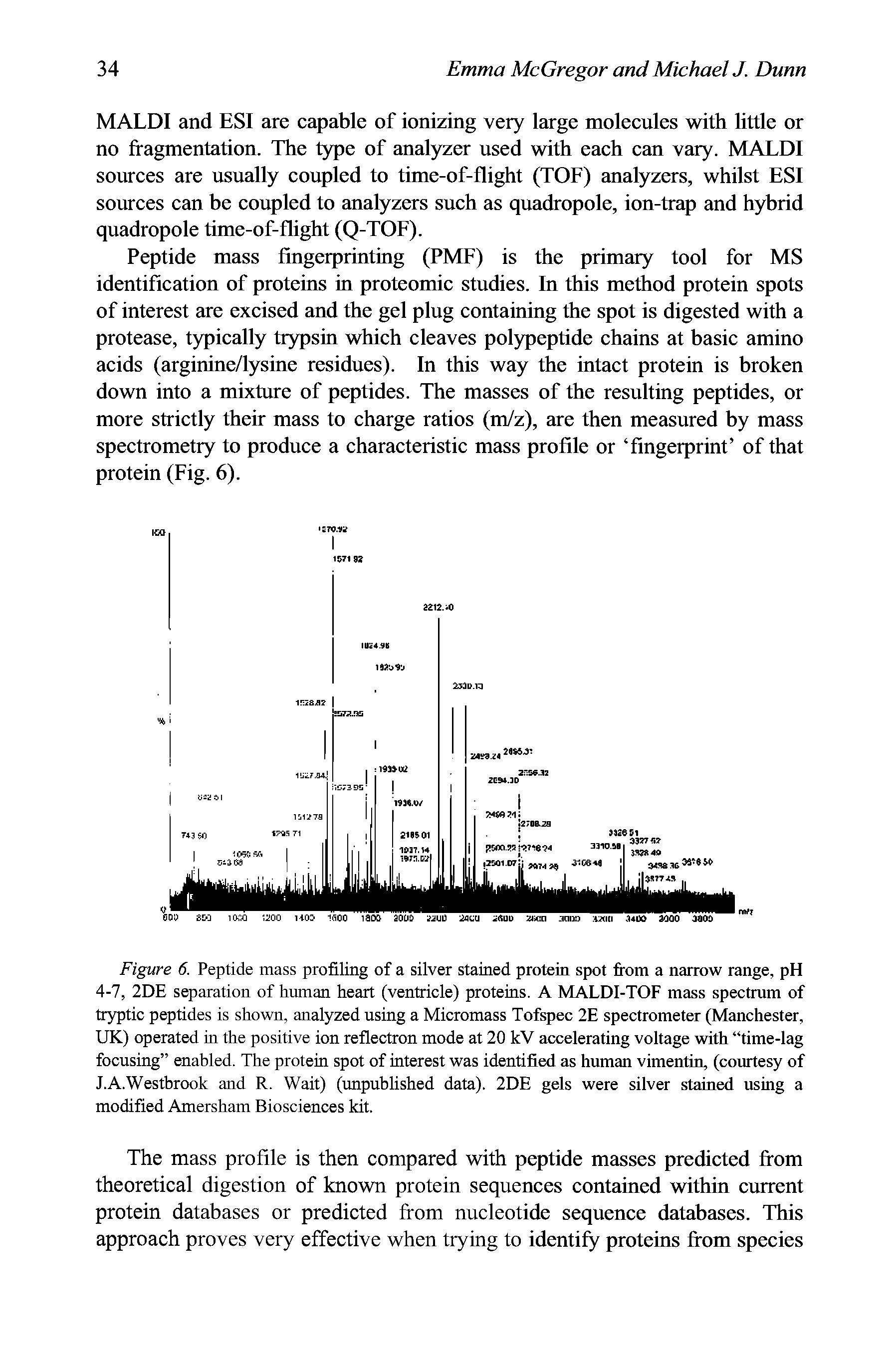 Figure 6. Peptide mass profiling of a silver stained protein spot from a narrow range, pH 4-7, 2DE separation of human heart (ventricle) proteins. A MALDI-TOF mass spectrum of tryptic peptides is shown, analyzed using a Micromass Tofspec 2E spectrometer (Manchester, UK) operated in the positive ion reflectron mode at 20 kV accelerating voltage with time-lag focusing enabled. The protein spot of interest was identified as human vimentin, (courtesy of J.A.Westbrook and R. Wait) (unpublished data). 2DE gels were silver stained using a modified Amersham Biosciences kit.