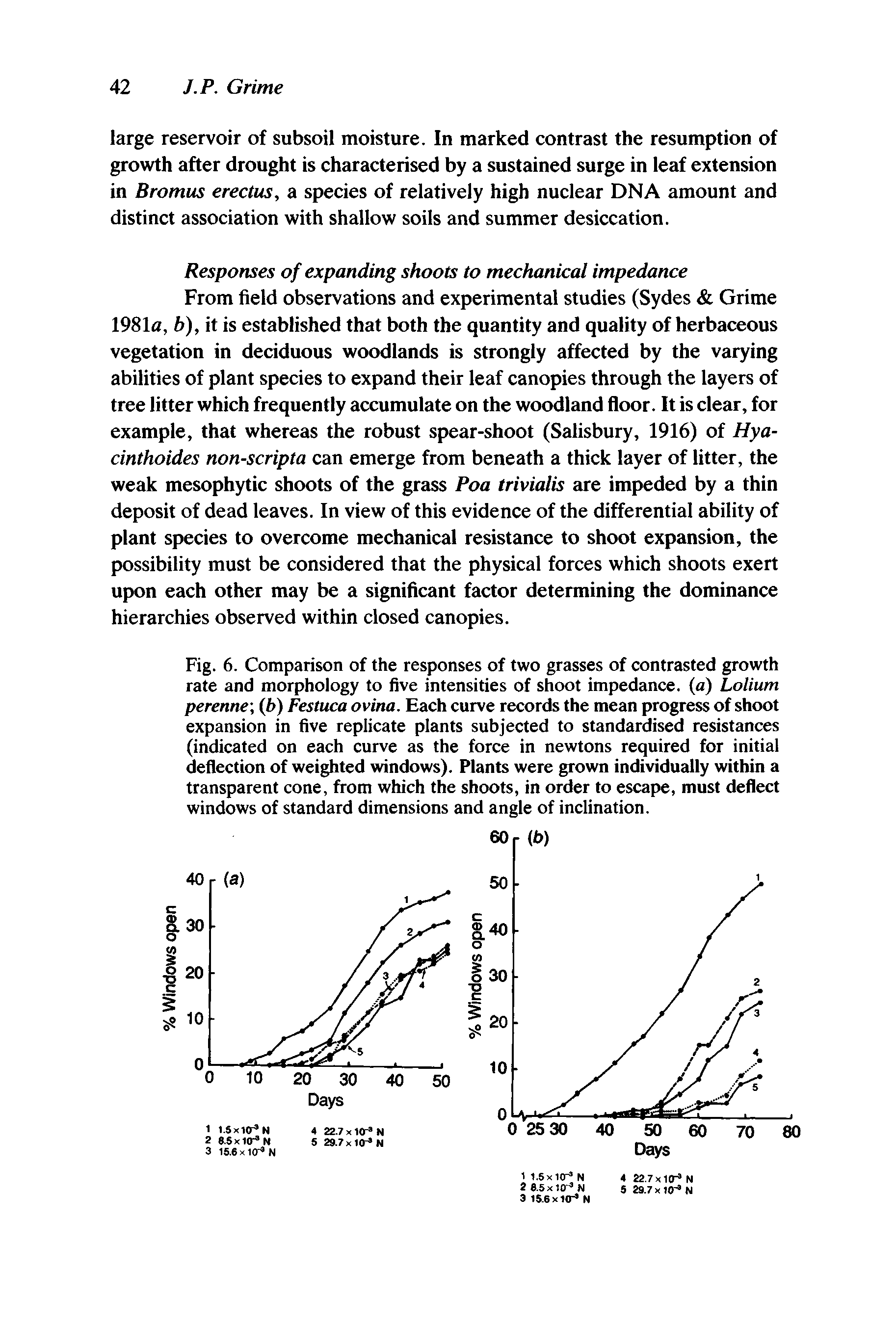 Fig. 6. Comparison of the responses of two grasses of contrasted growth rate and morphology to five intensities of shoot impedance, (a) Lolium perenne b) Festuca ovina. Each curve records the mean progress of shoot expansion in five replicate plants subjected to standardised resistances (indicated on each curve as the force in newtons required for initial deflection of weighted windows). Plants were grown individually within a transparent cone, from which the shoots, in order to escape, must deflect windows of standard dimensions and angle of inclination.