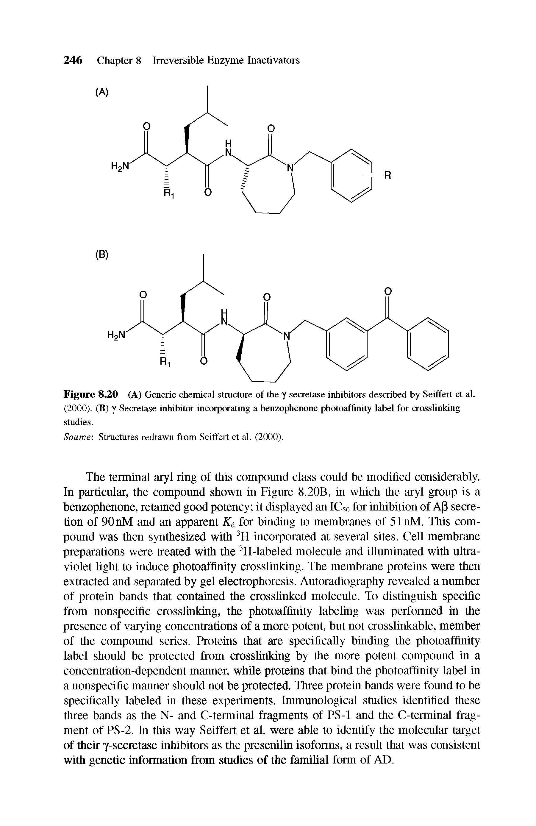 Figure 8.20 (A) Generic chemical structure of the y-secretase inhibitors described by Seiffert et al. (2000). (B) y-Secretase inhibitor incorporating a benzophenone photoaffinity label for crosslinking studies.