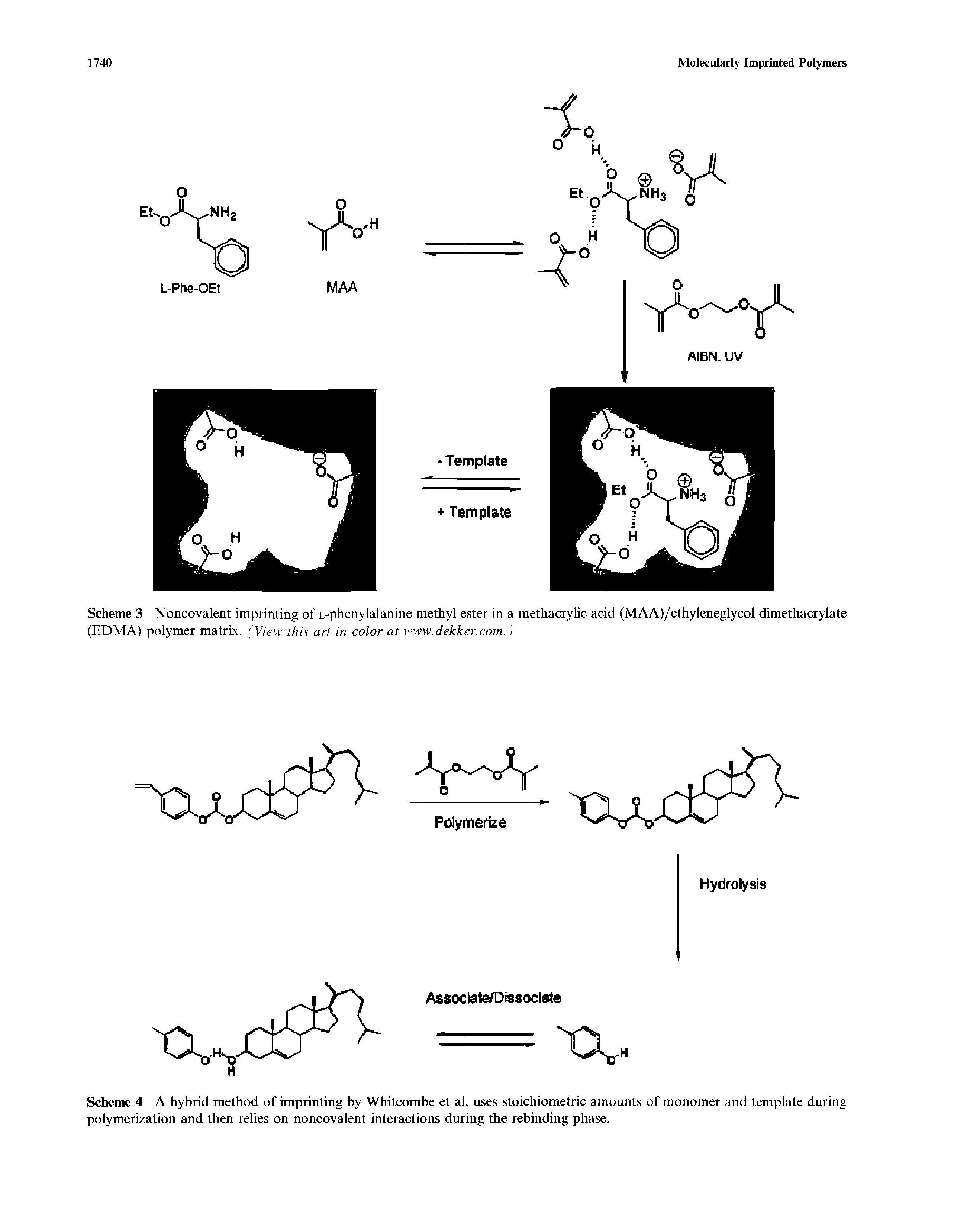 Scheme 3 Noncovalent imprinting of L-phenylalanine methyl ester in a methacrylic acid (MAA)/ethyleneglycol dimethacrylate (EDMA) polymer matrix. (View this art in color at www.dekker.com.)...