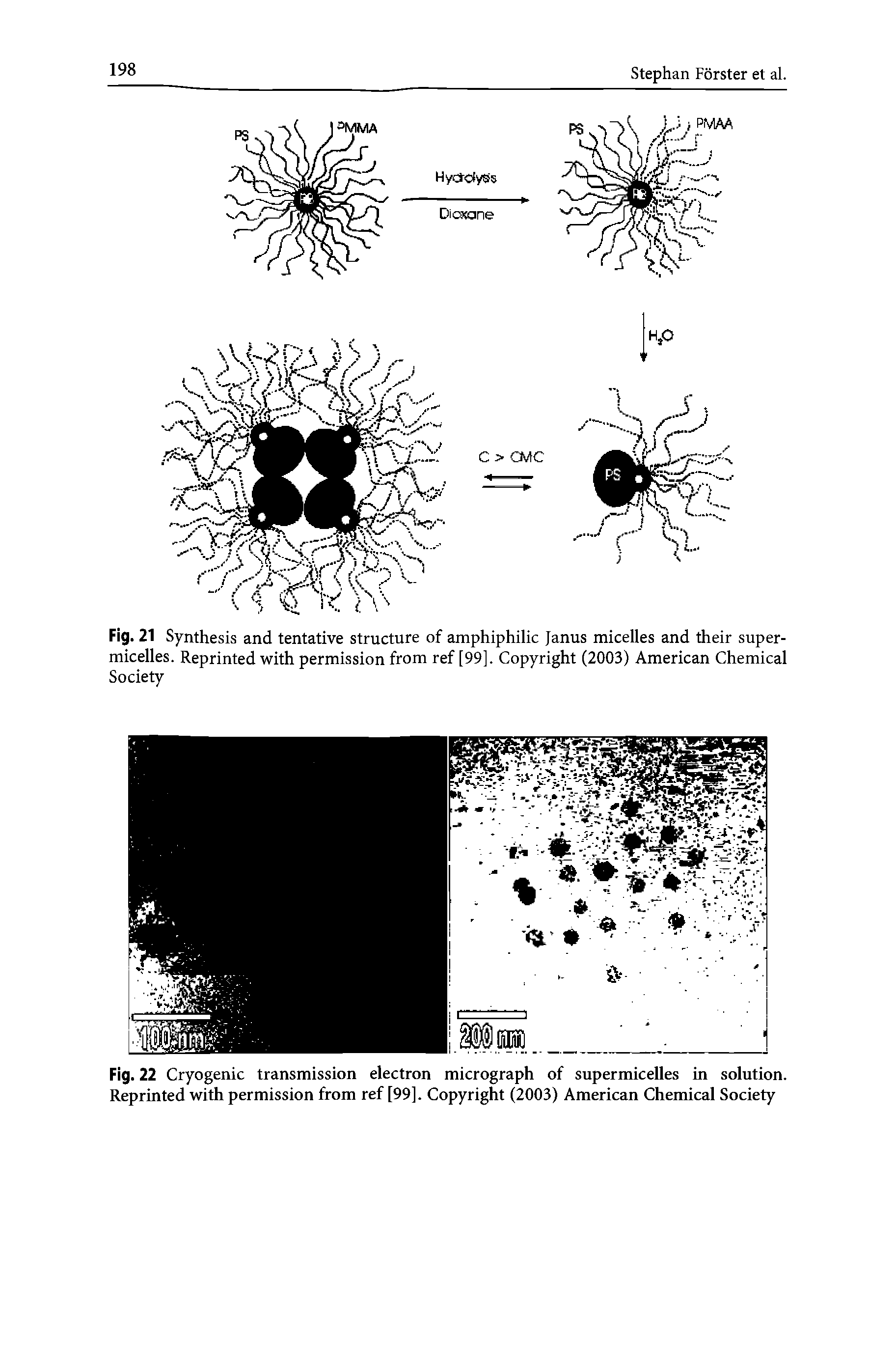 Fig. 22 Cryogenic transmission electron micrograph of supermicelles in solution. Reprinted with permission from ref [99]. Copyright (2003) American Chemical Society...