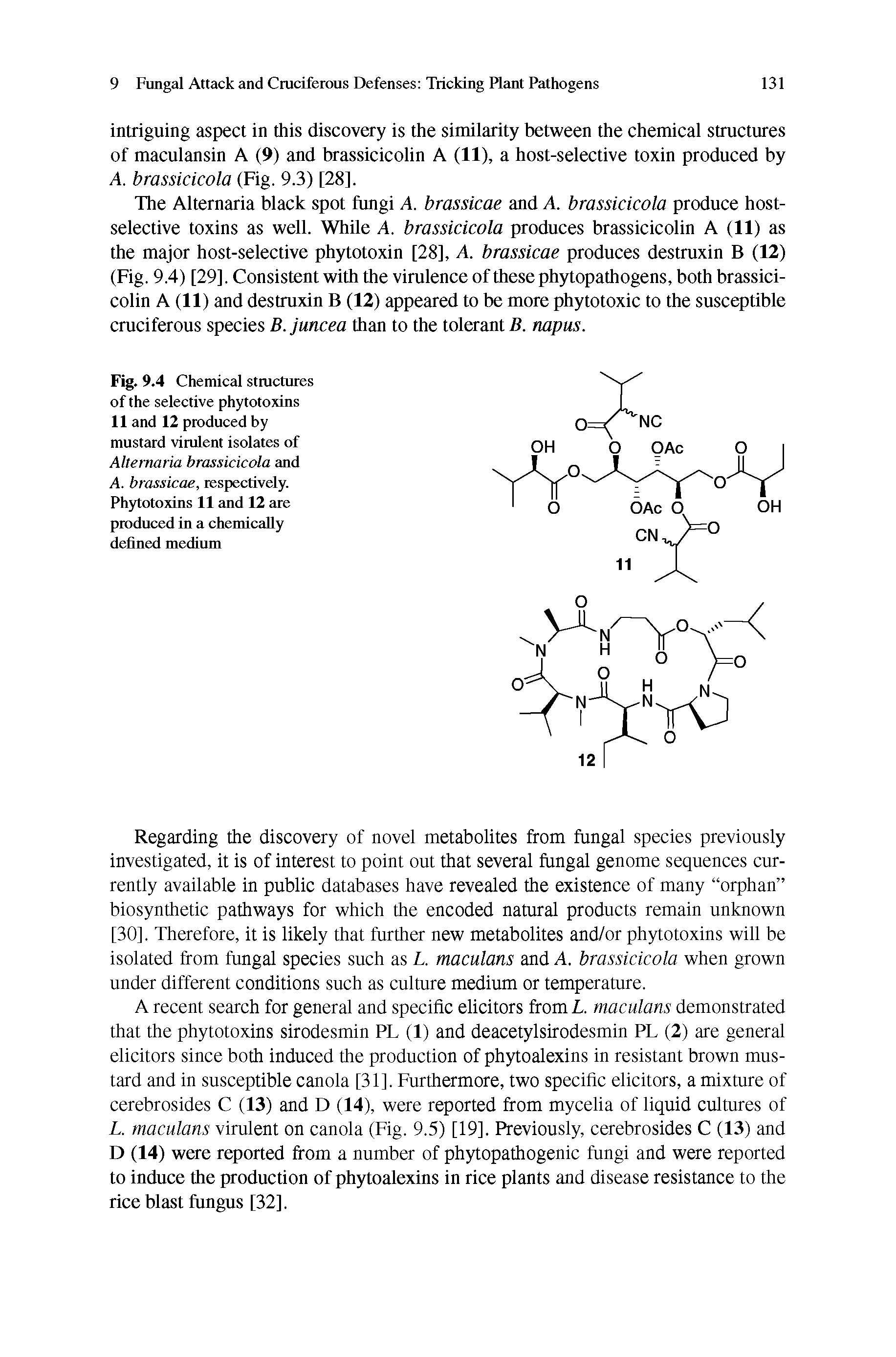Fig. 9.4 Chemical structures of the selective phytotojdns 11 and 12 produced by mustard virulent isolates of Alternaria brassicicola and A. brassicae, respectively. Phytotoxins 11 and 12 are produced in a chemically defined medium...