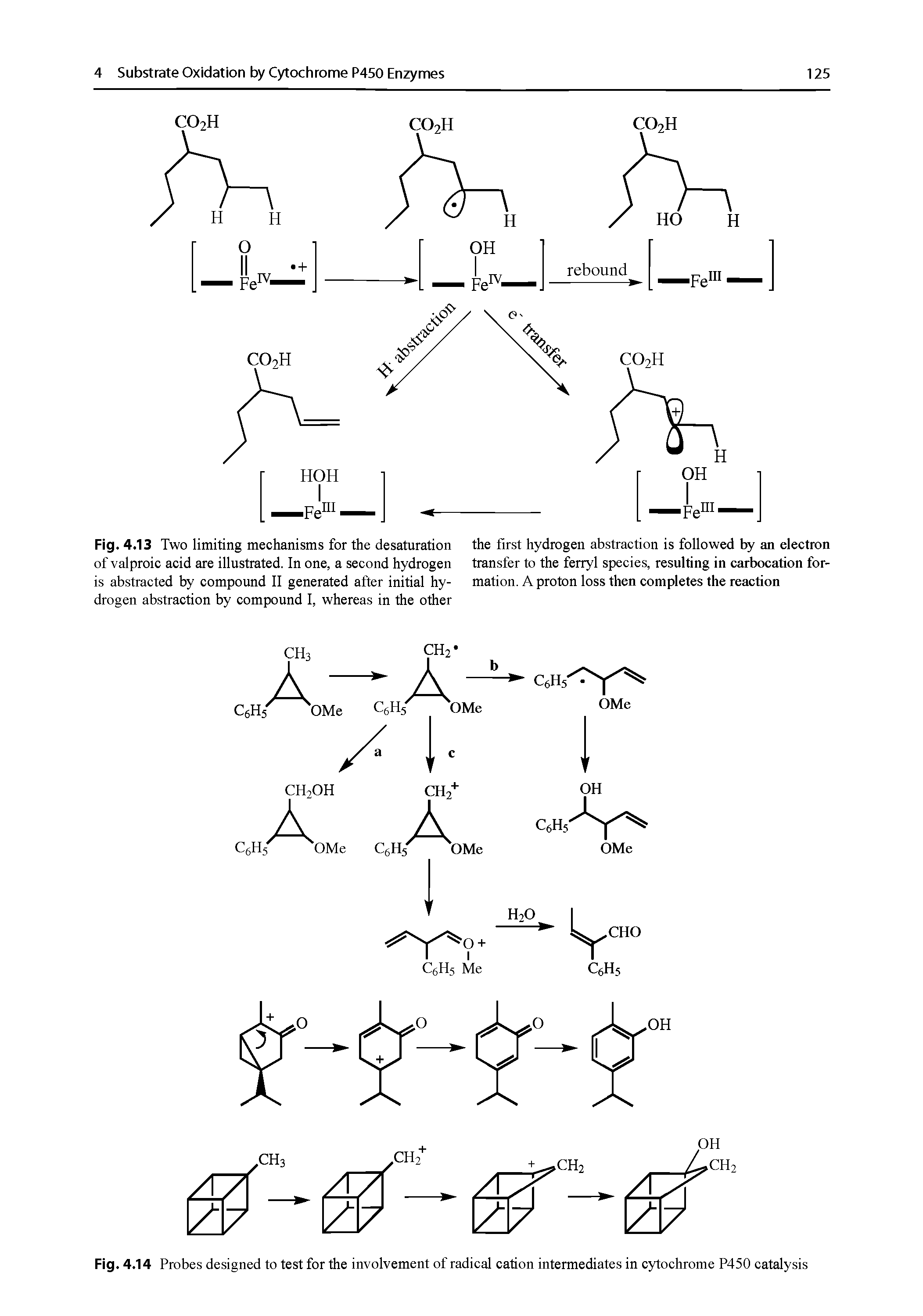 Fig. 4.13 Two limiting mechanisms for the desaturation the first hydrogen abstraction is followed by an electron of valproic acid are illustrated. In one, a second hydrogen transfer to the ferryl species, resulting in carbocation for-...