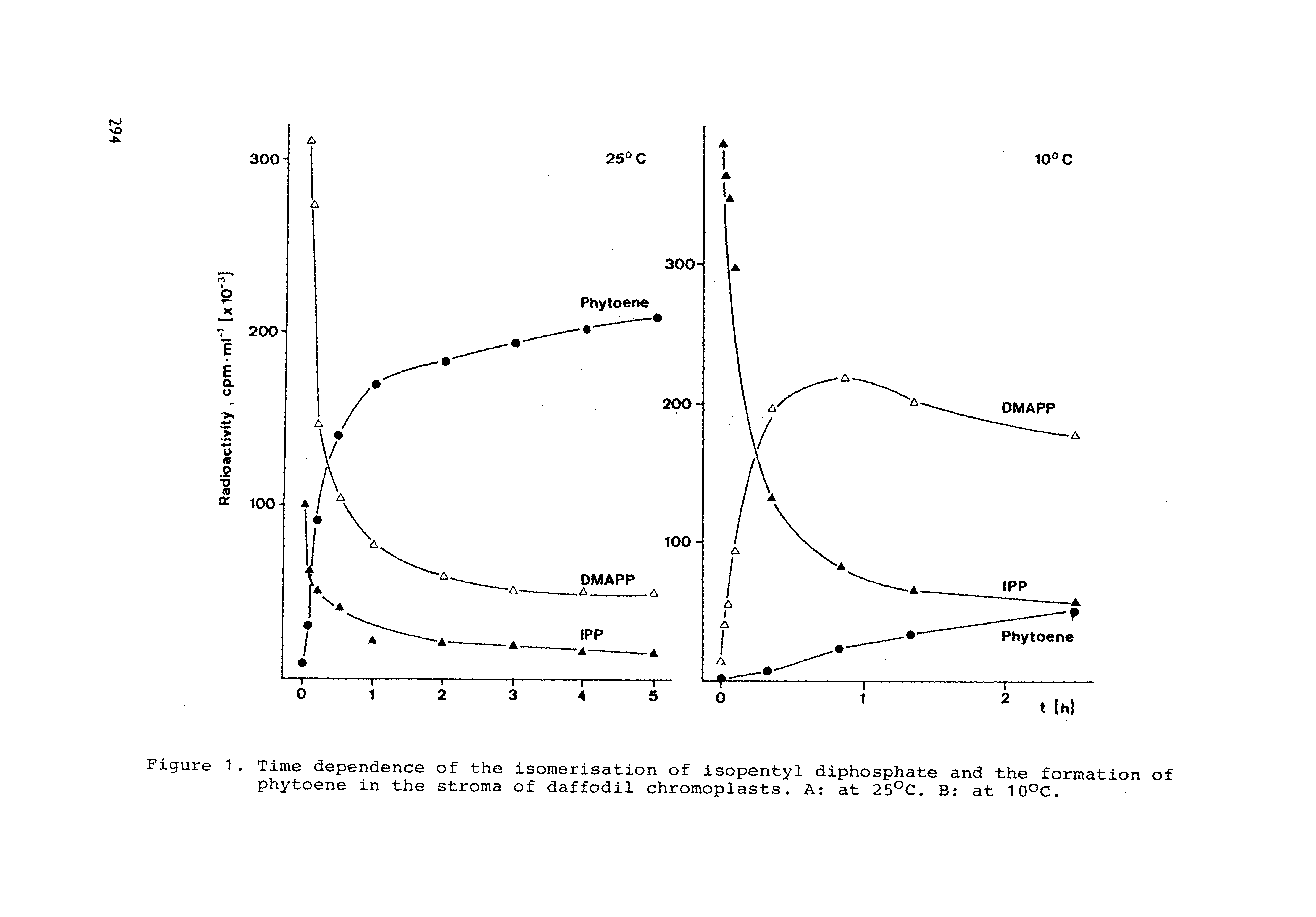 Figure 1. Time dependence of the isomerisation of isopentyl diphosphate and the formation of phytoene in the stroma of daffodil chromoplasts. A at 25 C. B at lO C.