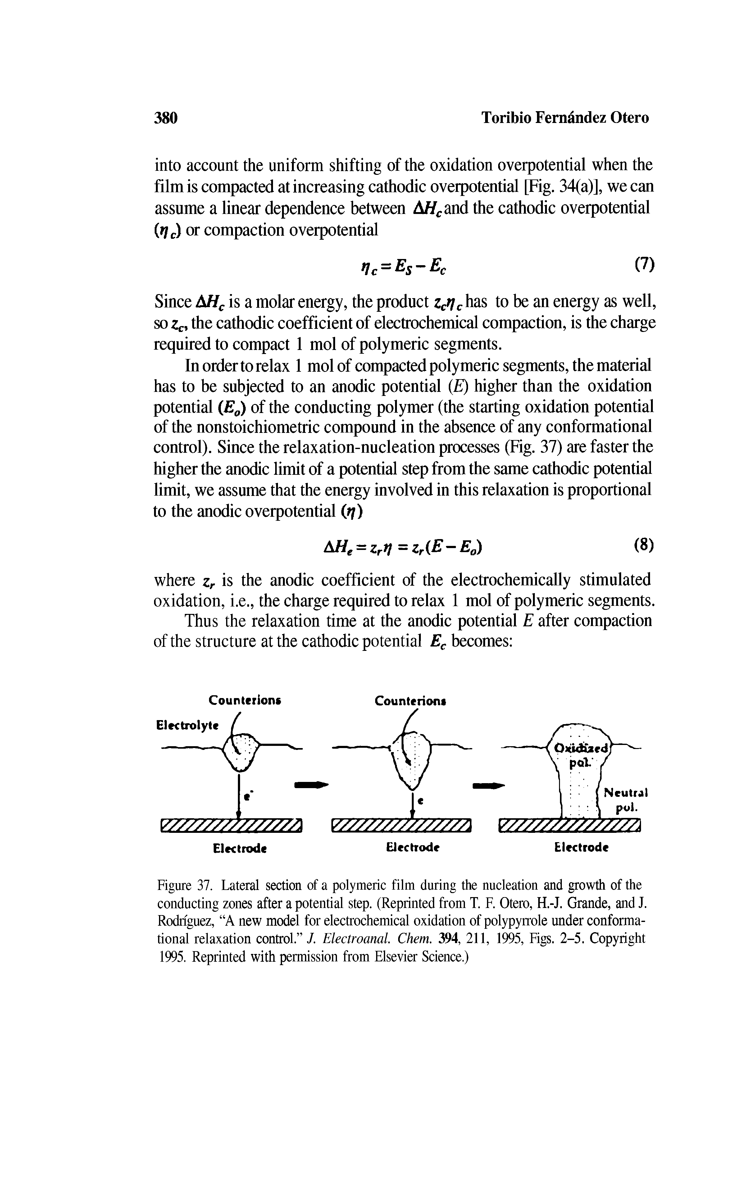 Figure 37. Lateral section of a polymeric film during the nucleation and growth of the conducting zones after a potential step. (Reprinted from T. F. Otero, H.-J. Grande, and J. Rodriguez, A new model for electrochemical oxidation of polypyrrole under conformational relaxation control. /. Electroanal. Chem. 394, 211, 1995, Figs. 2-5. Copyright 1995. Reprinted with permission from Elsevier Science.)...