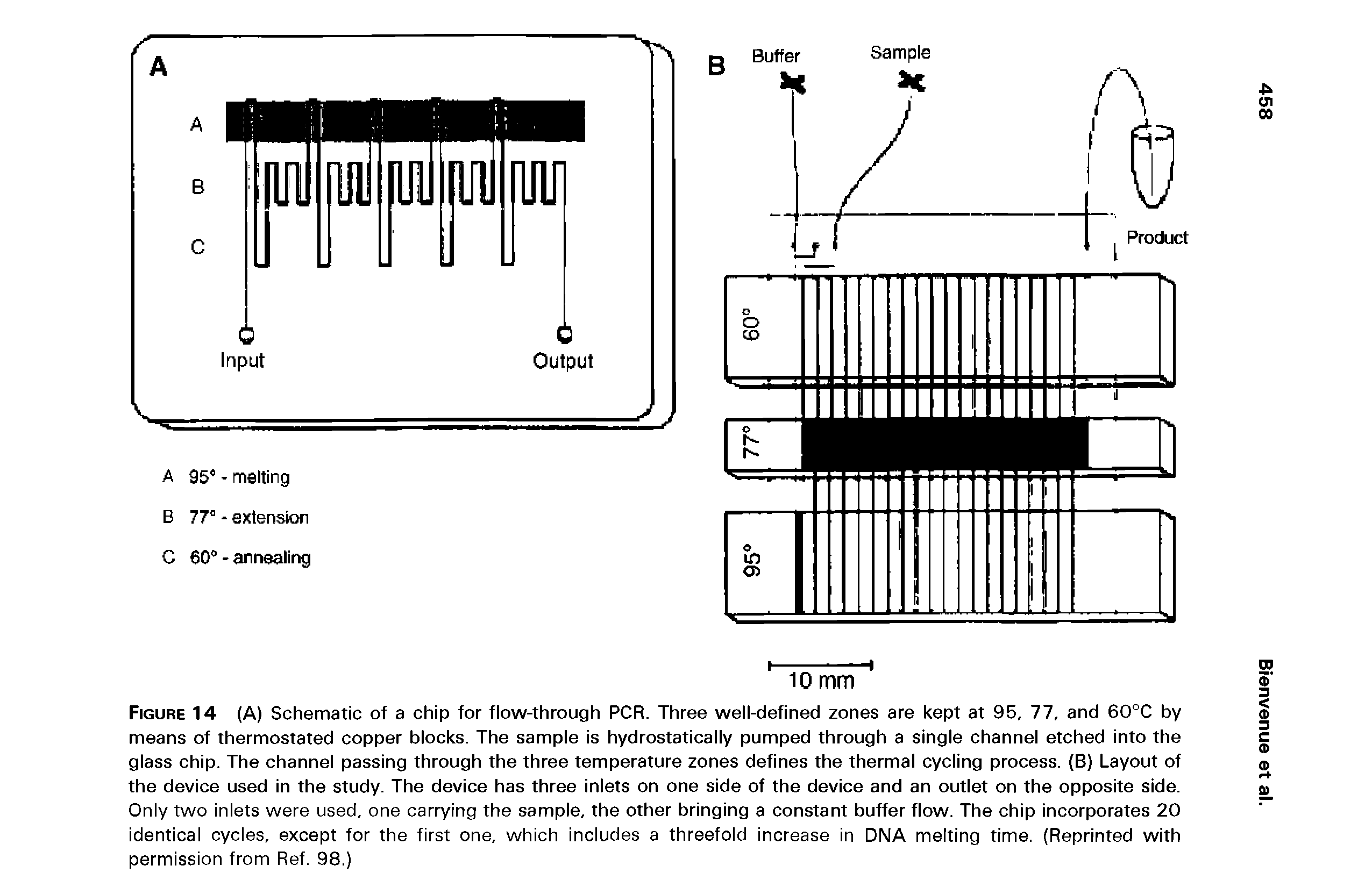 Figure 14 (A) Schematic of a chip for flow-through PCR. Three well-defined zones are kept at 95, 77, and 60°C by means of thermostated copper blocks. The sample is hydrostatically pumped through a single channel etched into the glass chip. The channel passing through the three temperature zones defines the thermal cycling process. (B) Layout of the device used in the study. The device has three inlets on one side of the device and an outlet on the opposite side. Only two inlets were used, one carrying the sample, the other bringing a constant buffer flow. The chip incorporates 20 identical cycles, except for the first one, which includes a threefold increase in DNA melting time. (Reprinted with permission from Ref. 98.)...
