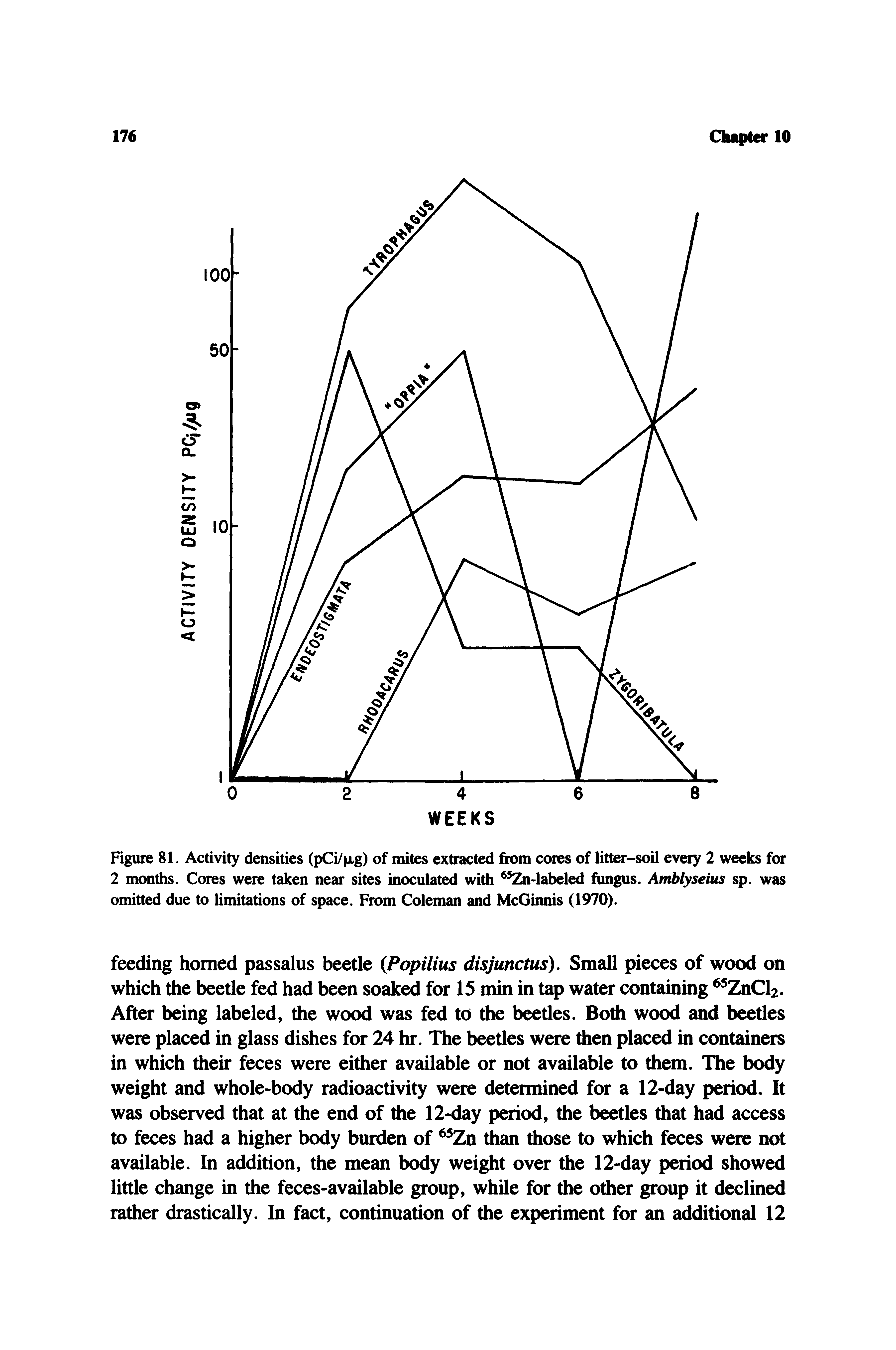 Figure 81. Activity densities (pCi/ xg) of mites extracted from cores of litter-soil every 2 weeks for 2 months. Cores were taken near sites inoculated with Zn-labeled fungus. Amblyseius sp. was omitted due to limitations of space. From Coleman and McGinnis (1970).