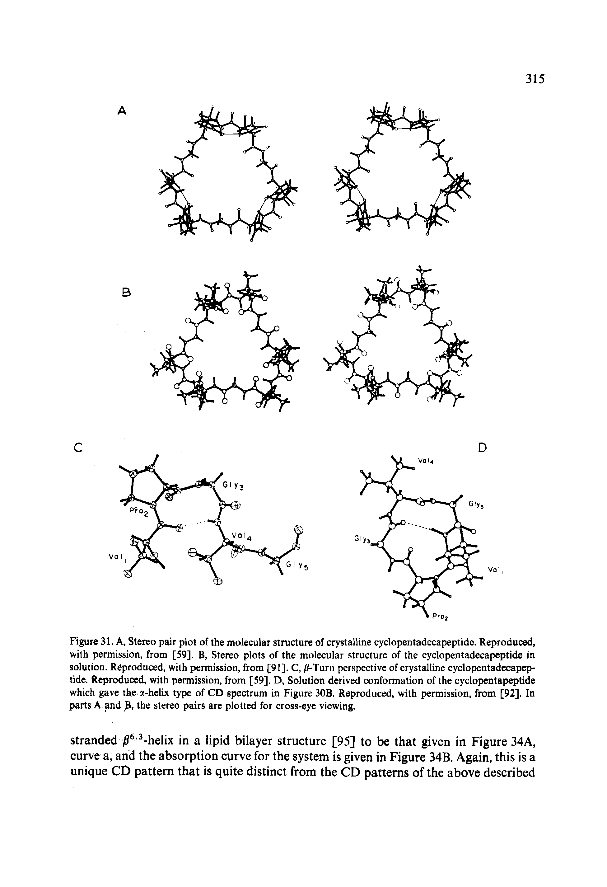 Figure 31. A, Stereo pair plot of the molecular structure of crystalline cyclopentadecapeptide. Reproduced, with permission, from [59]. B, Stereo plots of the molecular structure of the cyclopentadecapeptide in solution. Reproduced, with permission, from [91]. C, -Turn perspective of crystalline cyclopentadecapeptide. Reproduced, with permission, from [59]. D, Solution derived conformation of the cyclopentapeptide which gave the a-helix type of CD spectrum in Figure 30B. Reproduced, with permission, from [92]. In parts A and B, the stereo pairs are plotted for cross-eye viewing.