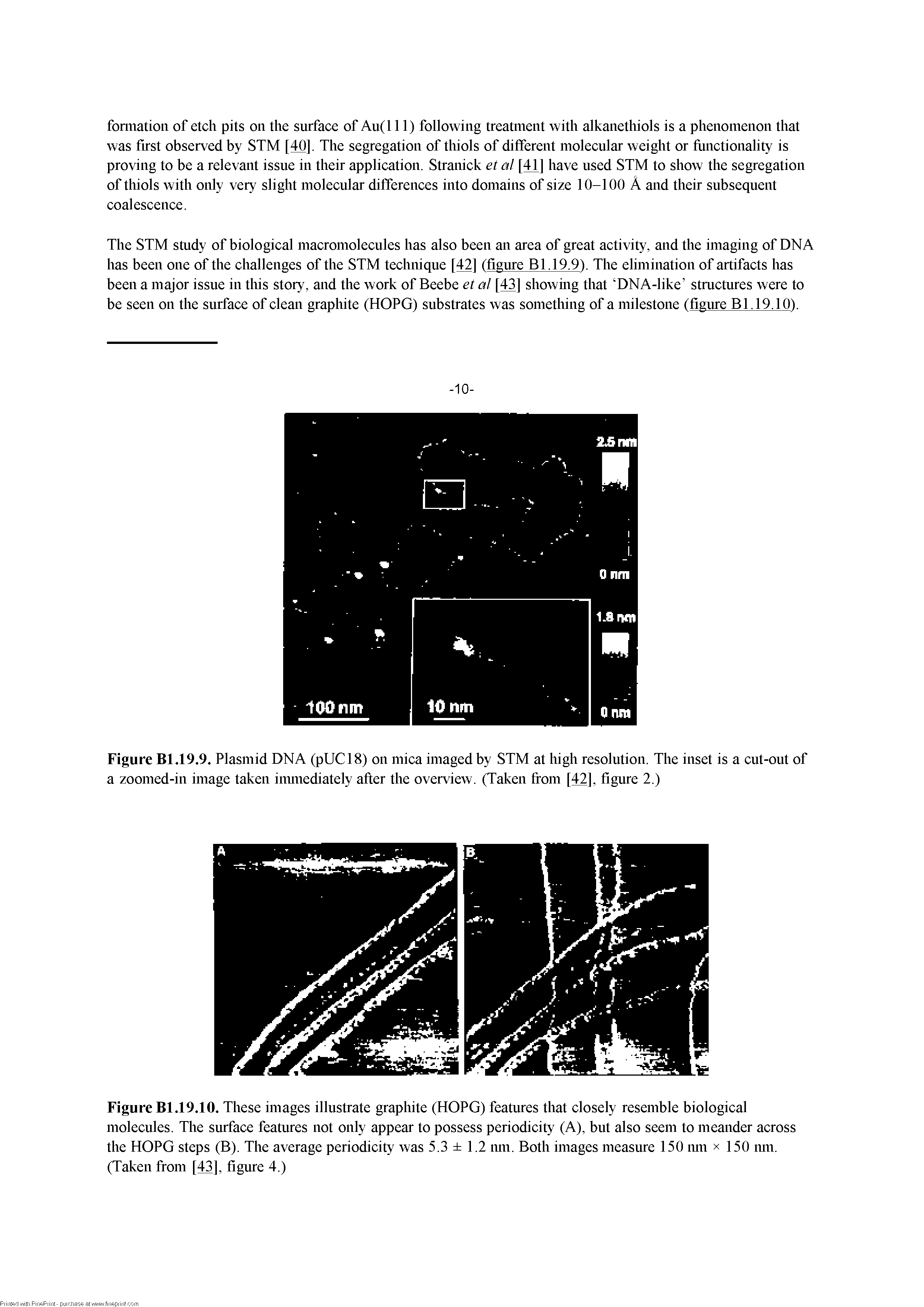 Figure Bl.19.10. These images illustrate graphite (HOPG) features that closely resemble biological molecules. The surface features not only appear to possess periodicity (A), but also seem to meander across the HOPG steps (B). The average periodicity was 5.3 1.2 mn. Both images measure 150 mn x 150 mn. (Taken from [43], figure 4.)...