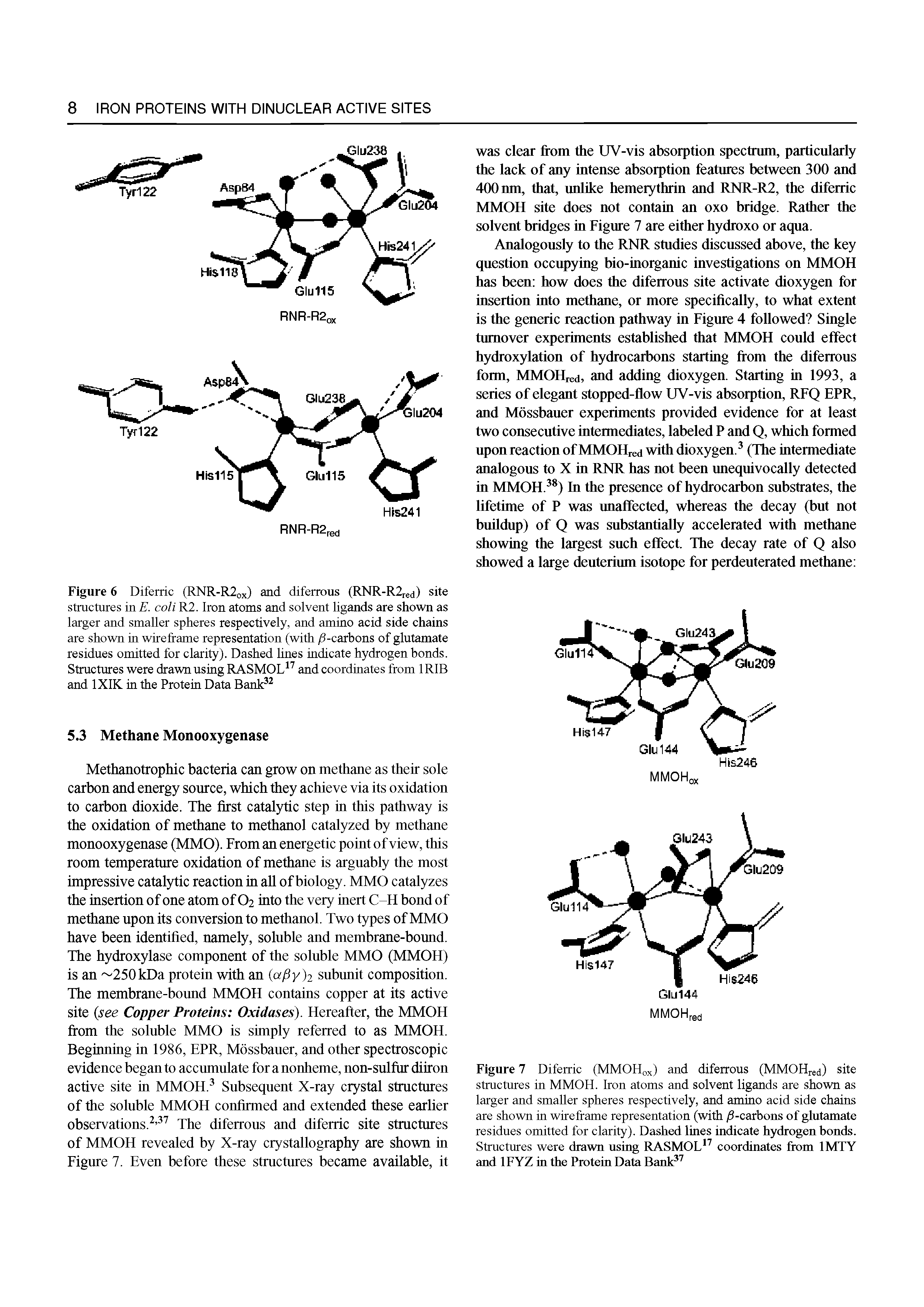 Figure 6 Diferric (RNR-R2 x) and diferrous (RNR-R2red) site structures in E. coli R2. Iron atoms and solvent ligands are shown as larger and smaller spheres respectively, and amino acid side chains are shown in wireframe representation (with /3-carbons of glutamate residues omitted for clarity). Dashed lines indicate hydrogen bonds. Structures were drawn using RASMOL and coordinates from 1 RIB and IXIK in the Protein Data Bank ...