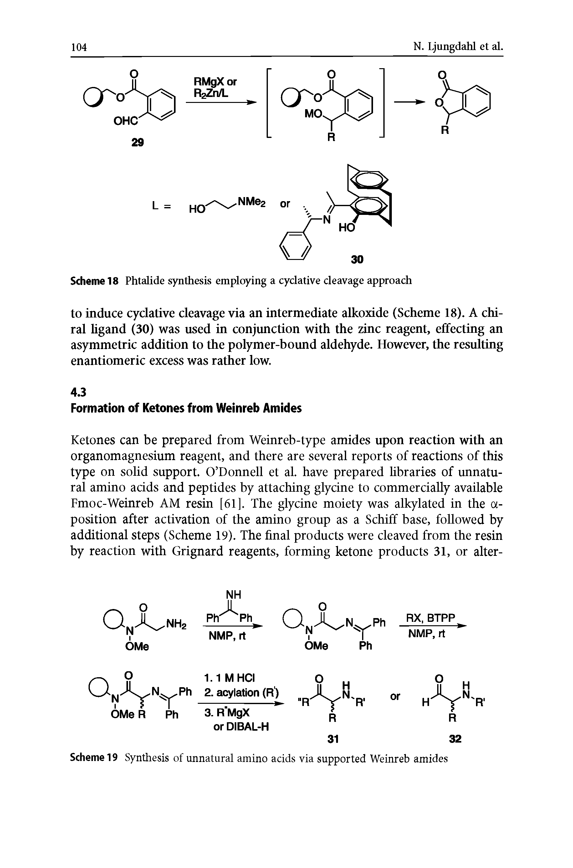 Scheme 19 Synthesis of unnatural amino acids via supported Weinreb amides...