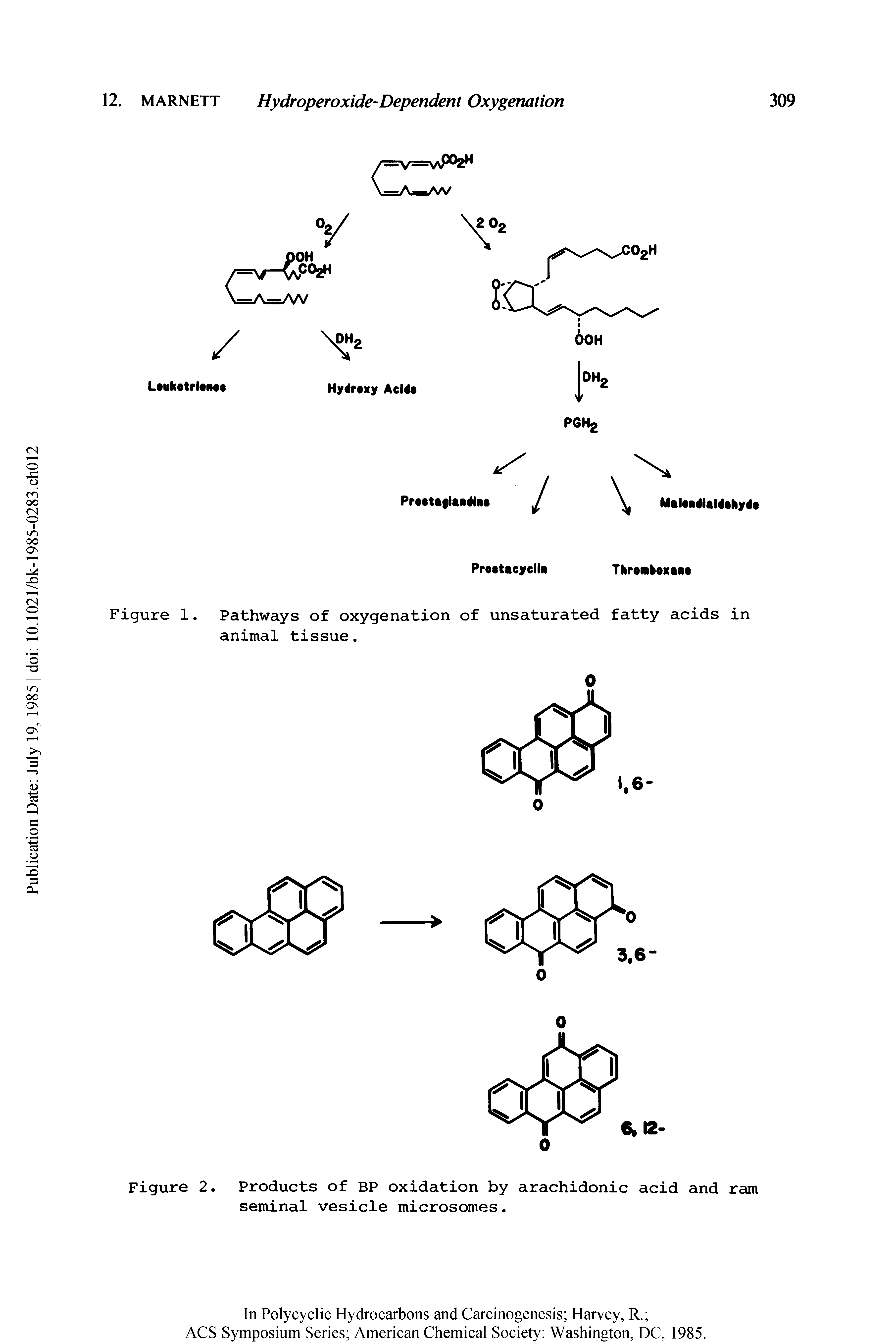 Figure 2. Products of BP oxidation by arachidonic acid and ram seminal vesicle microsomes.