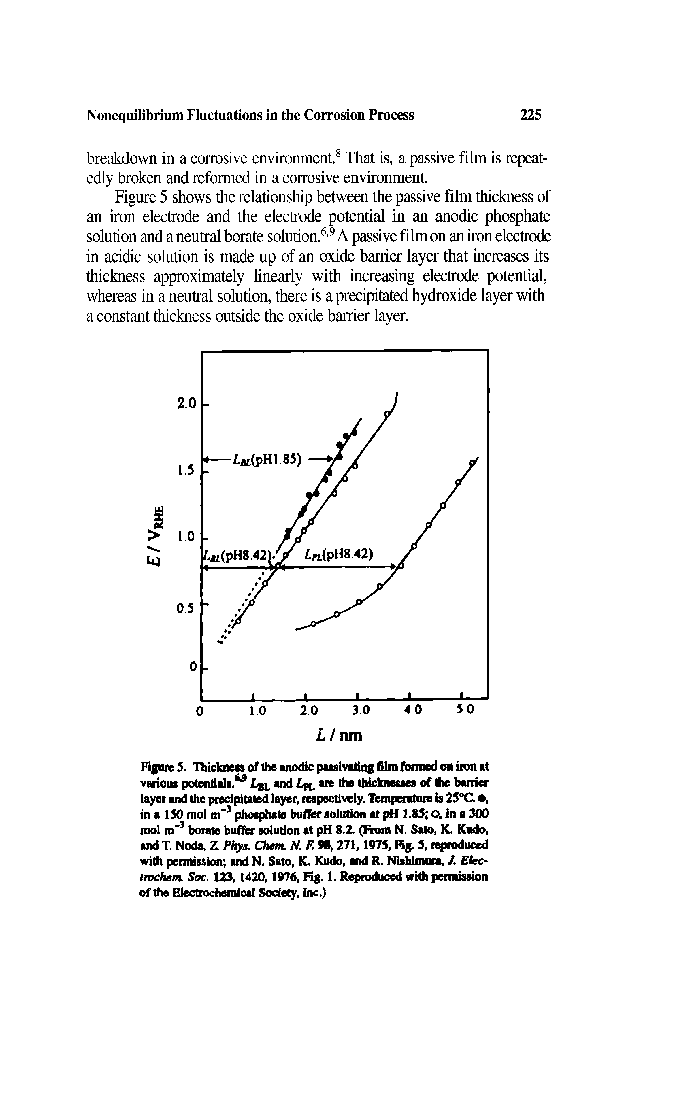 Figure 5. Thickness of the anodic passivating film formed on iron at various potentials.6 9 Lbl and Lr, are the thicknesses of the barrier layer and the precipitated layer, respectively. Temperature is 25°C. , in a 150 mol m 3 phosphate buffer solution at pH 1.85 O, in a 300 mol m 3 borate buffer solution at pH 8.2. (From N. Sato, K. Kudo, and T. Noda, Z Phys. Chem. N. F. 98,271,1975, Fig. 5, reproduced with permission and N. Sato, K. Kudo, and R. Nishimura, / Elec-trochem. Soc, 123,1420,1976, Fig. 1. Reproduced with permission of the Electrochemical Society, Inc.)...