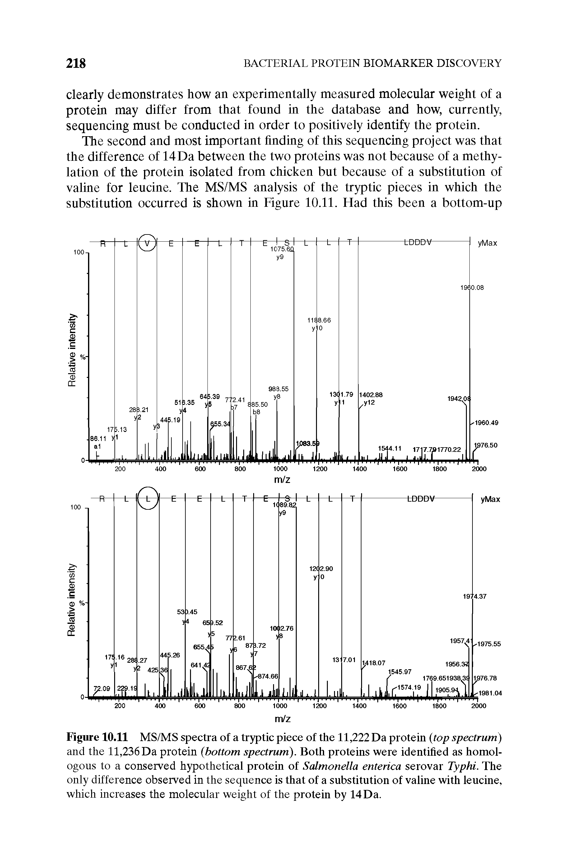 Figure 10.11 MS/MS spectra of a tryptic piece of the 11,222 Da protein (top spectrum) and the 11,236 Da protein (bottom spectrum). Both proteins were identified as homologous to a conserved hypothetical protein of Salmonella enterica serovar Typhi. The only difference observed in the sequence is that of a substitution of valine with leucine, which increases the molecular weight of the protein by 14 Da.
