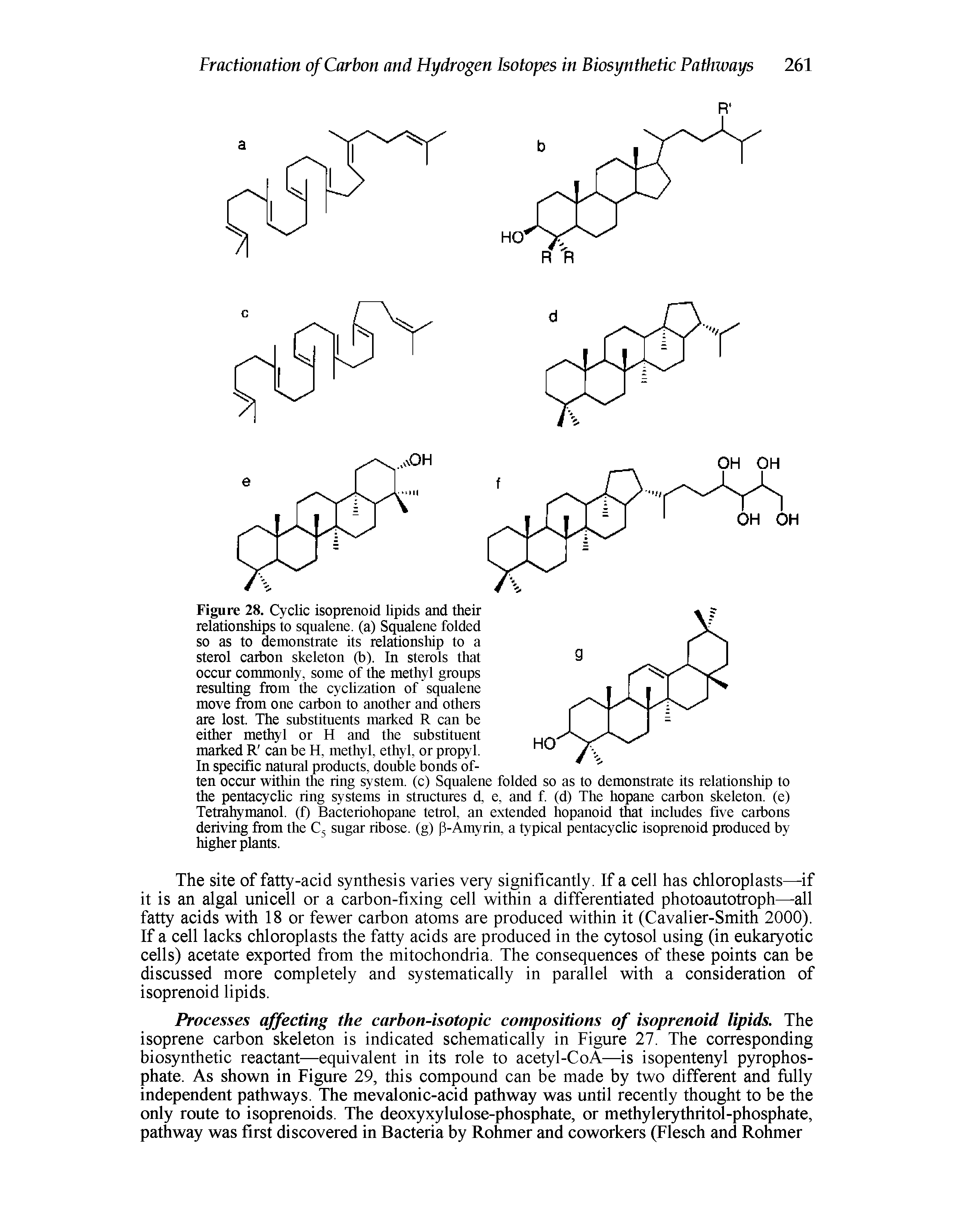 Figure 28. Cyclic isoprenoid lipids and their relationships to squalene. (a) Squalene folded so as to demonstrate its relationship to a sterol carbon skeleton (b). In sterols that occur commonly, some of the methyl groups resulting from the cyclization of squalene move from one carbon to another and others are lost. The substituents marked R can be either methyl or H and the substituent marked R can be H, methyl, ethyl, or propyl.