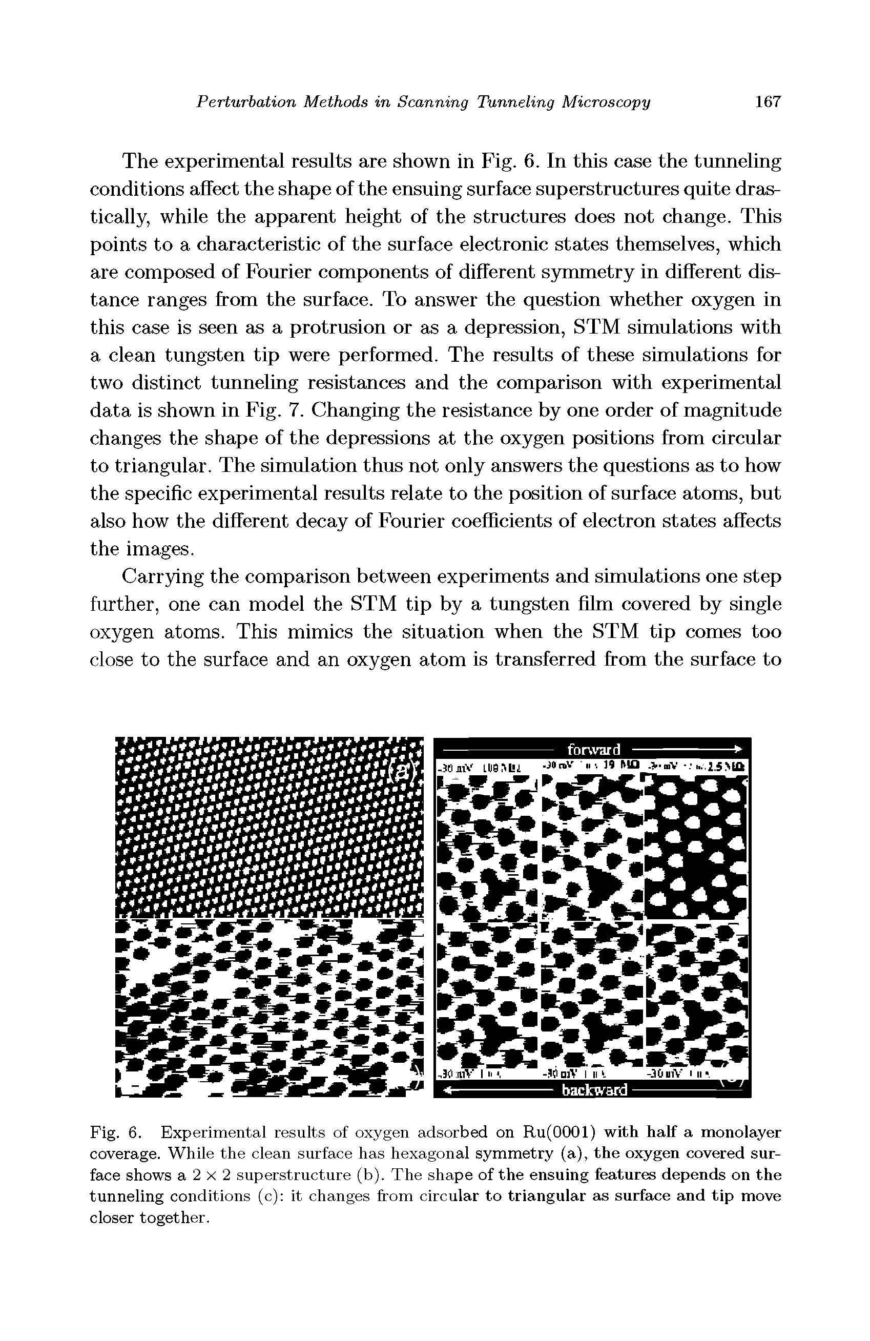 Fig. 6. Experimental results of oxygen adsorbed on Ru(0001) with half a monolayer coverage. While the clean surface has hexagonal symmetry (a), the oxygen covered surface shows a 2 X 2 superstructure (b). The shape of the ensuing features depends on the tunneling conditions (c) it changes from circular to triangular as surface and tip move closer together.