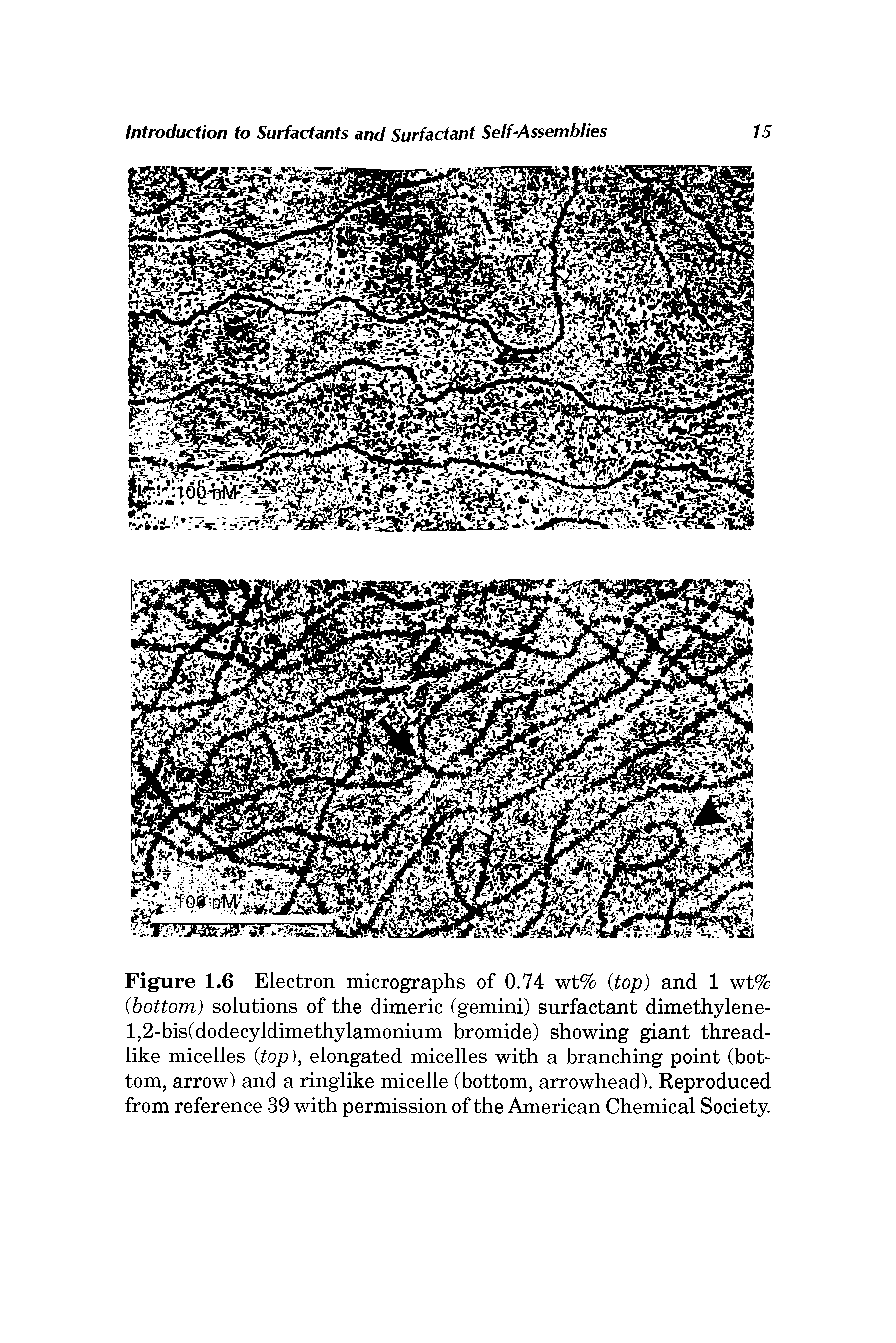 Figure 1.6 Electron micrographs of 0.74 wt% (top) and 1 wt% (bottom) solutions of the dimeric (gemini) surfactant dimethylene-1,2-bis(dodecyldimethylamonium bromide) showing giant threadlike micelles (top), elongated micelles with a branching point (bottom, arrow) and a ringlike micelle (bottom, arrowhead). Reproduced from reference 39 with permission of the American Chemical Society.