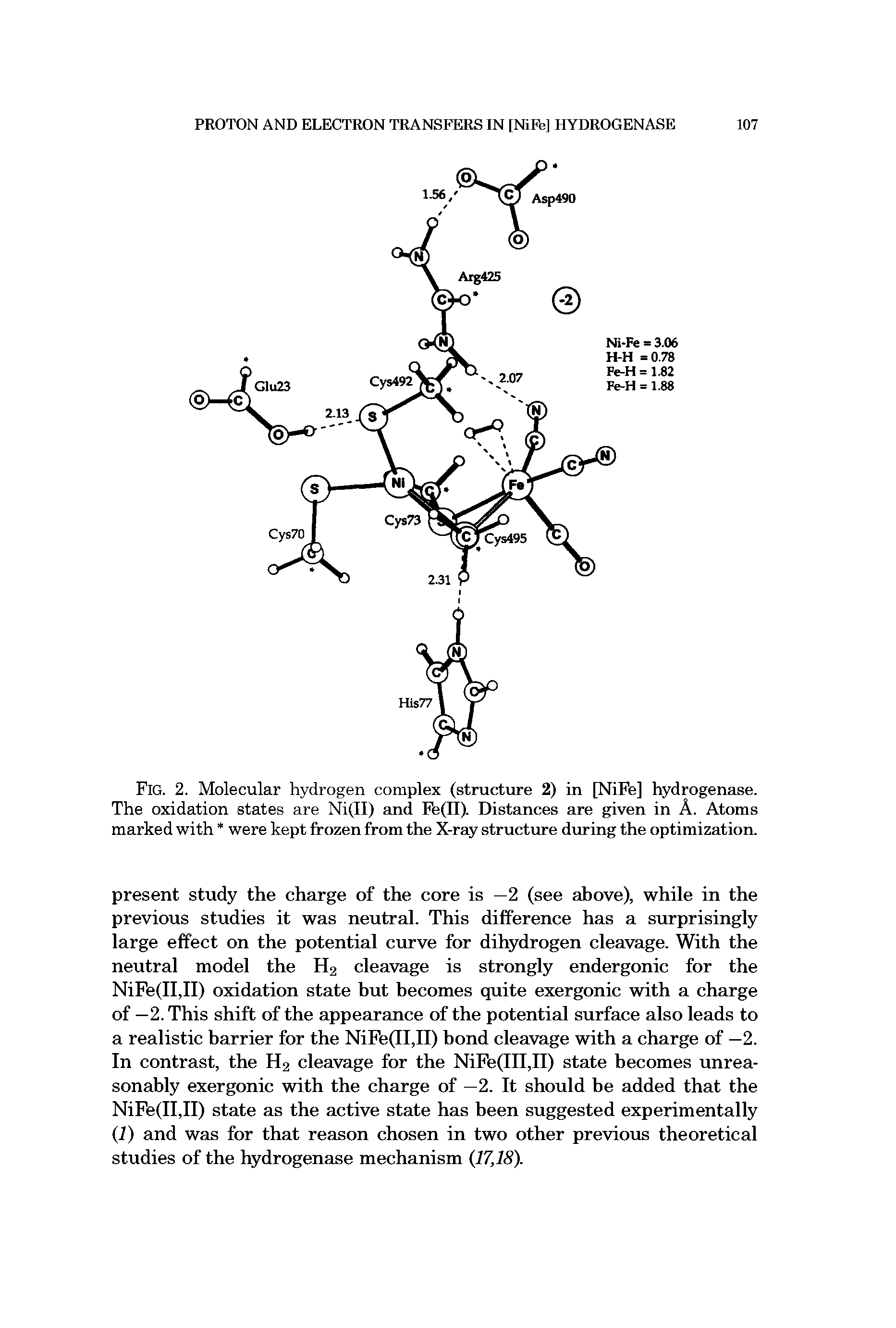 Fig. 2. Molecular hydrogen complex (structure 2) in [NiFe] hydrogenase. The oxidation states are Ni(II) and Fe(II). Distances are given in A. Atoms marked with were kept frozen from the X-ray structure during the optimization.