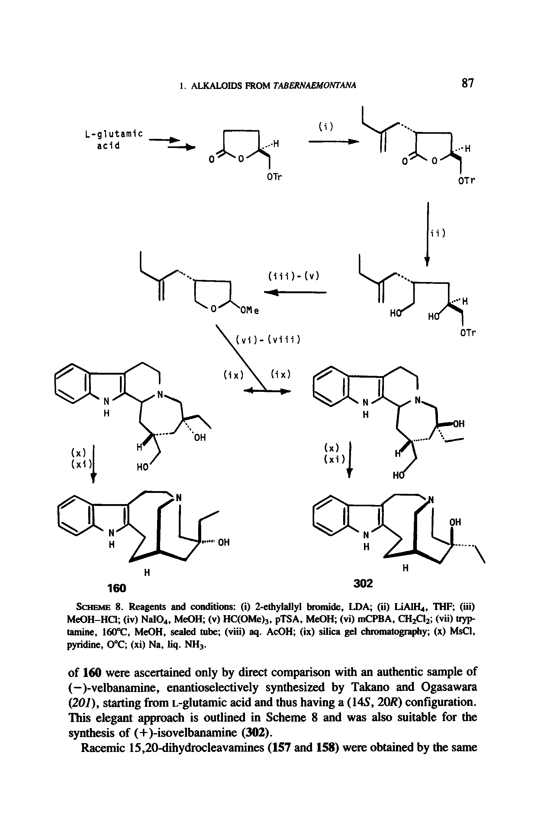 Scheme 8. Reagents and conditions (i) 2-ethylallyl bromide, LDA (ii) LiAlH4, THF (iii) MeOH-HCl (iv) NaI04, MeOH (v) HC(OMe)3, pTSA, MeOH (vi) mCPBA, CH2CI2 (vii) tryp-tamine, 160°C, MeOH, sealed tube (viii) aq. AcOH (ix) silica gel chromatography (x) MsCl, pyridine, 0°C (xi) Na, liq. NH3.