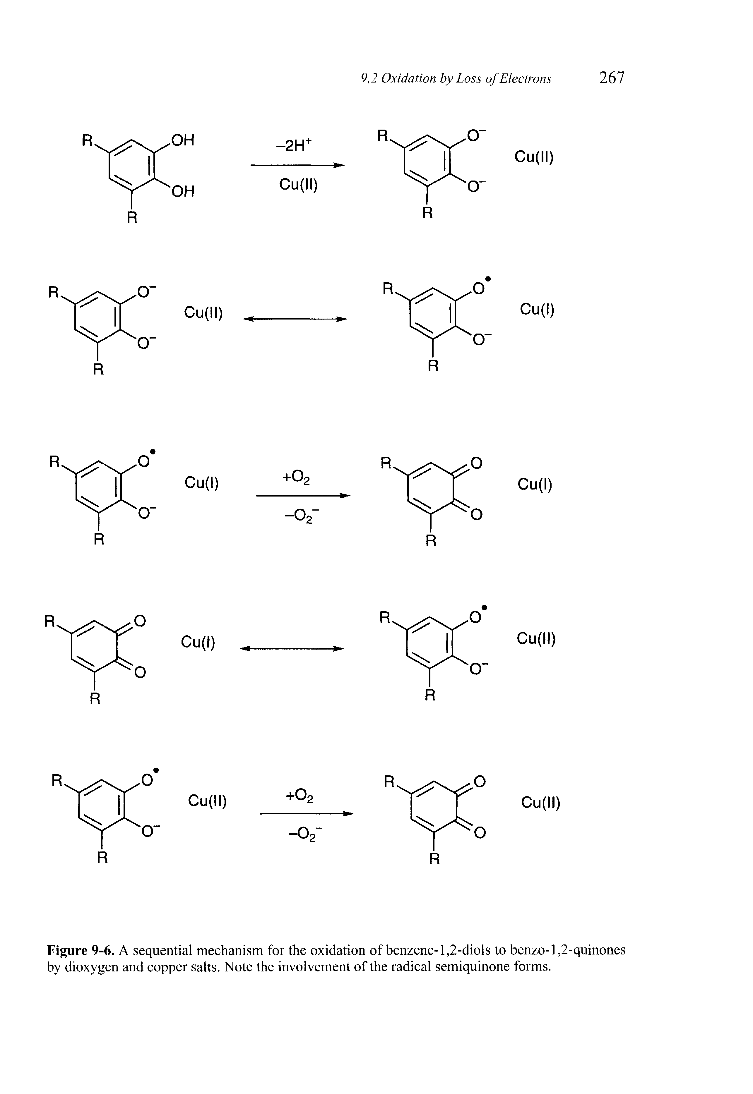 Figure 9-6. A sequential mechanism for the oxidation of benzene- 1,2-diols to benzo-l,2-quinones by dioxygen and copper salts. Note the involvement of the radical semiquinone forms.