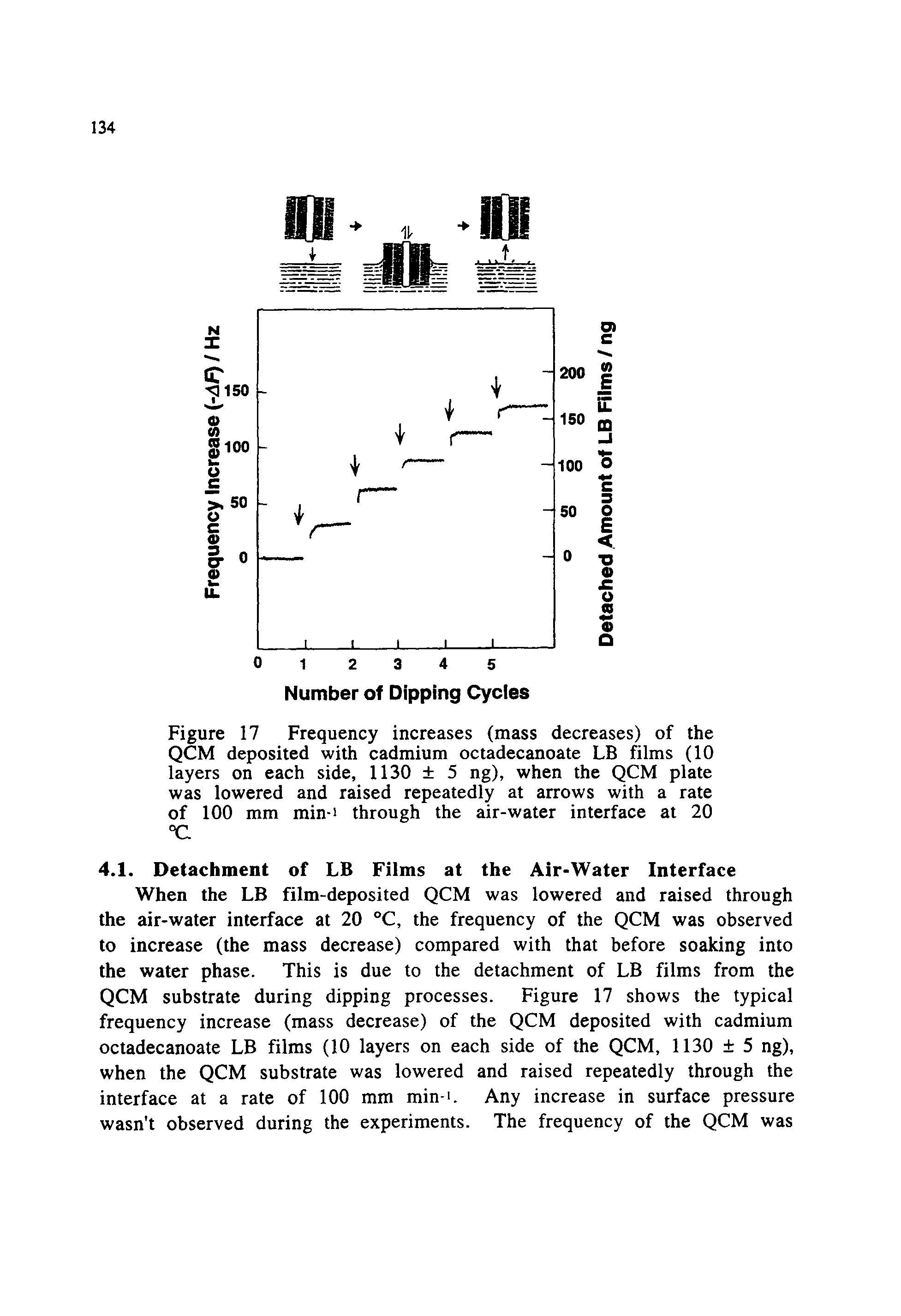 Figure 17 Frequency increases (mass decreases) of the QCM deposited with cadmium octadecanoate LB films (10 layers on each side, 1130 5 ng), when the QCM plate was lowered and raised repeatedly at arrows with a rate of 100 mm min-i through the air-water interface at 20 °C...