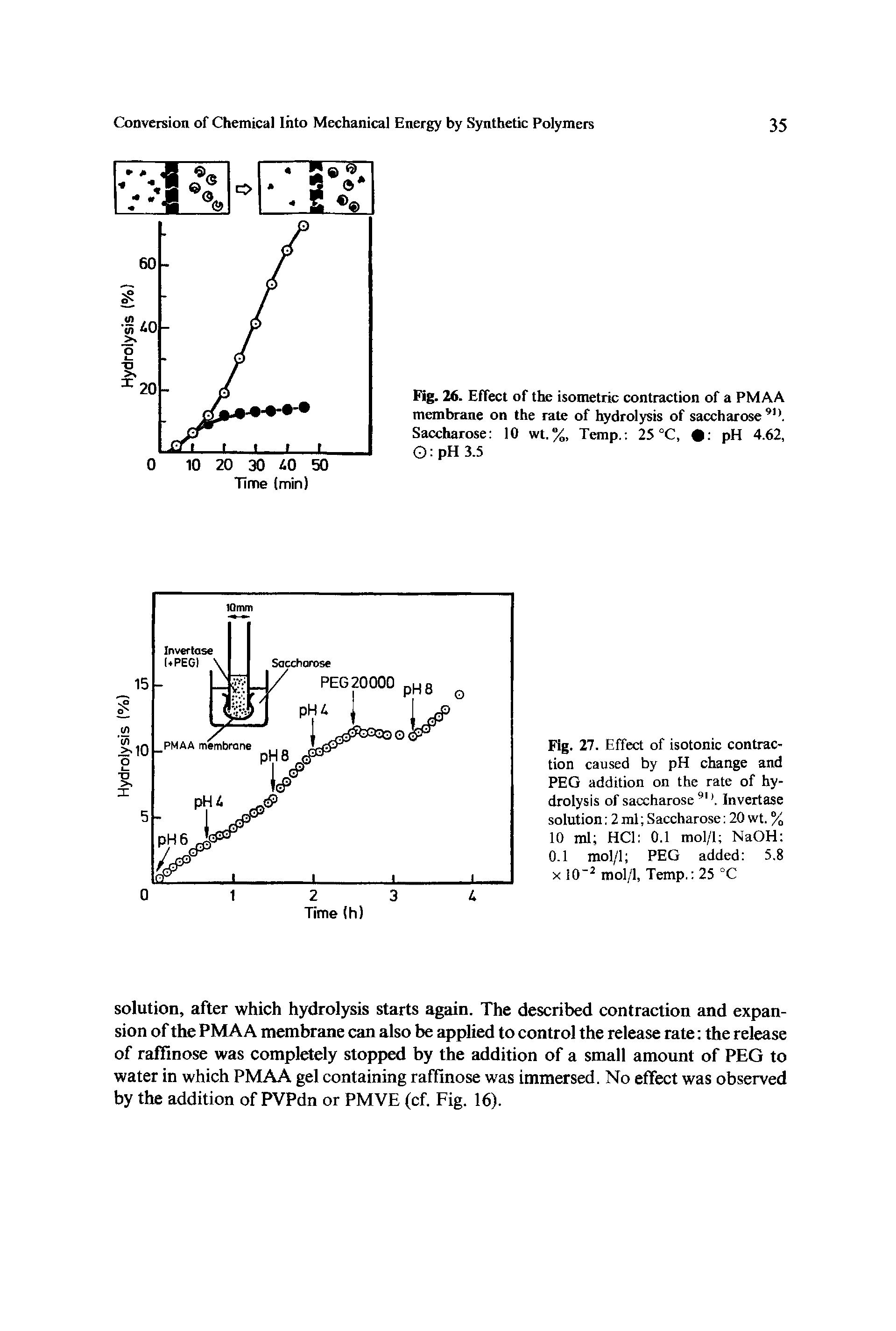 Fig. 27. Effect of isotonic contraction caused by pH change and PEG addition on the rate of hydrolysis of saccharose. Invertase solution 2 ml Saccharose 20 wt. % 10 ml HCl 0.1 mol/1 NaOH 0.1 raol/1 PEG added 5.8 X iO mol/1, Temp. 25 °C...