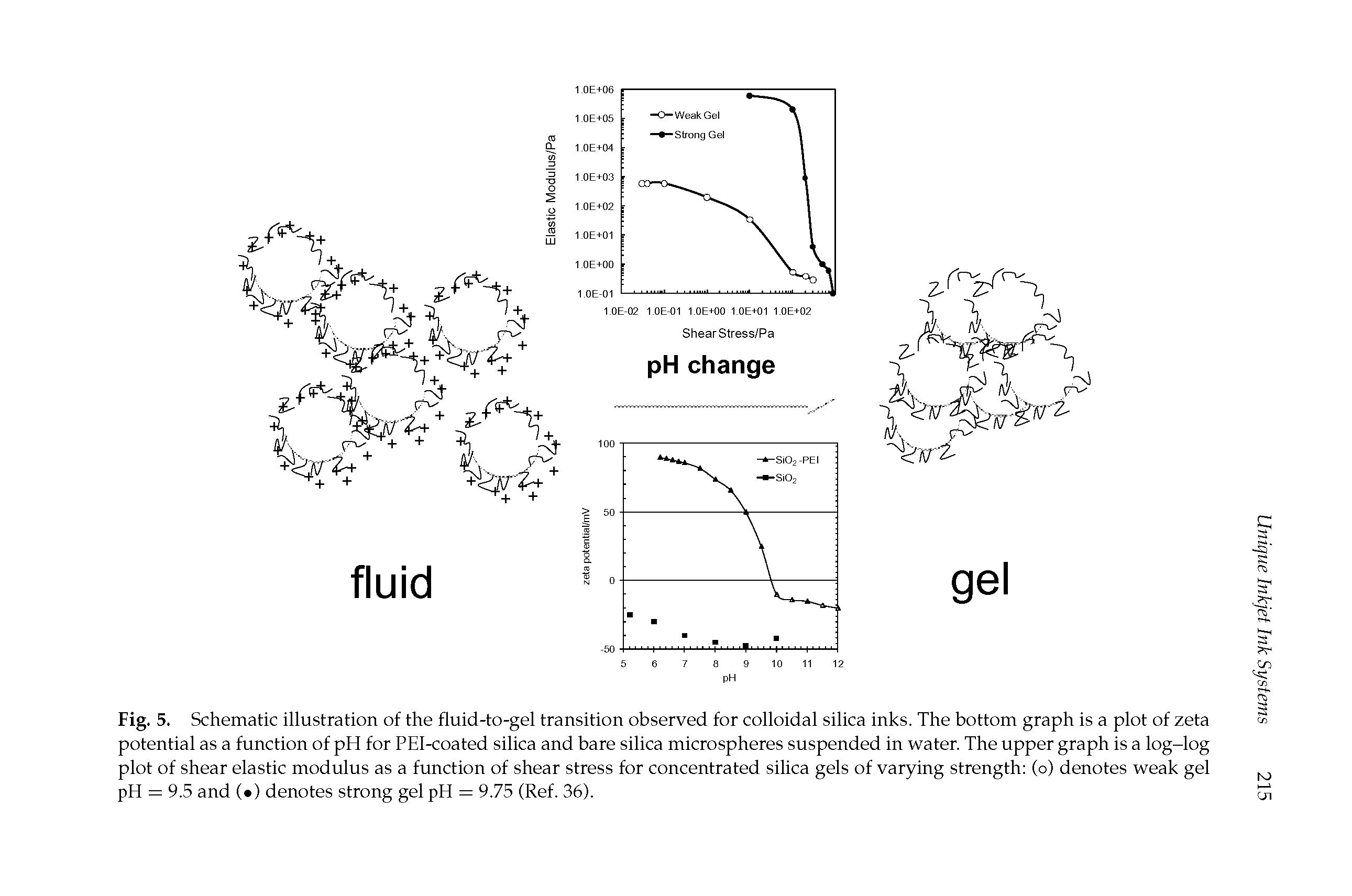 Fig. 5. Schematic illustration of the fluid-to-gel transition observed for colloidal silica inks. The bottom graph is a plot of zeta potential as a function of pH for PEl-coated silica and bare silica microspheres suspended in water. The upper graph is a log-log plot of shear elastic modulus as a function of shear stress for concentrated silica gels of varying strength (o) denotes weak gel pH = 9.5 and ( ) denotes strong gel pH = 9.75 (Ref. 36).