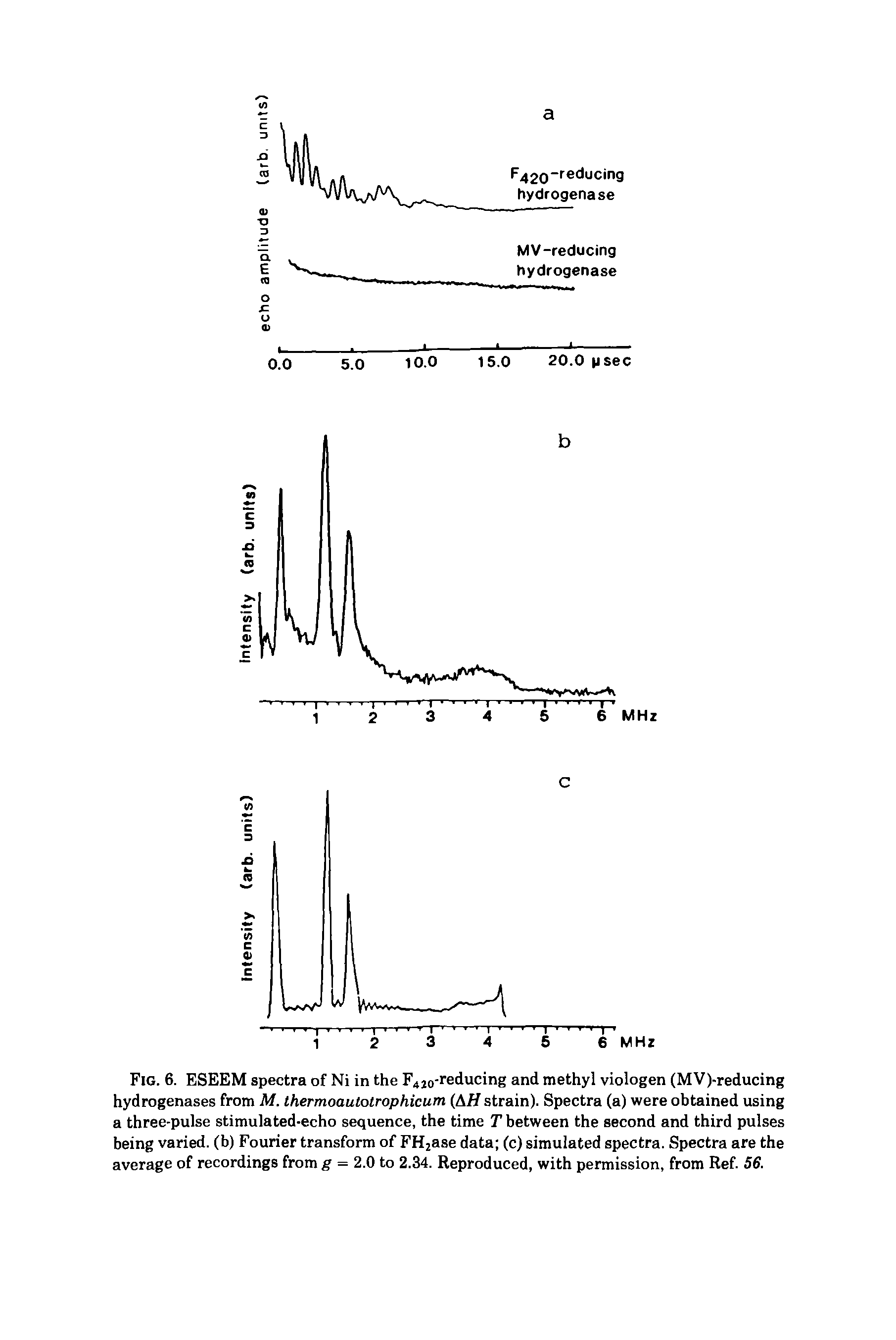 Fig. 6. ESEEM spectra of Ni in the F4j0-reducing and methyl viologen (MV)-reducing hydrogenases from M. thermoautotrophicum (A/f strain). Spectra (a) were obtained using a three-pulse stimulated-echo sequence, the time T between the second and third pulses being varied, (b) Fourier transform of FH2ase data (c) simulated spectra. Spectra are the average of recordings from g = 2.0 to 2.34. Reproduced, with permission, from Ref. 56.