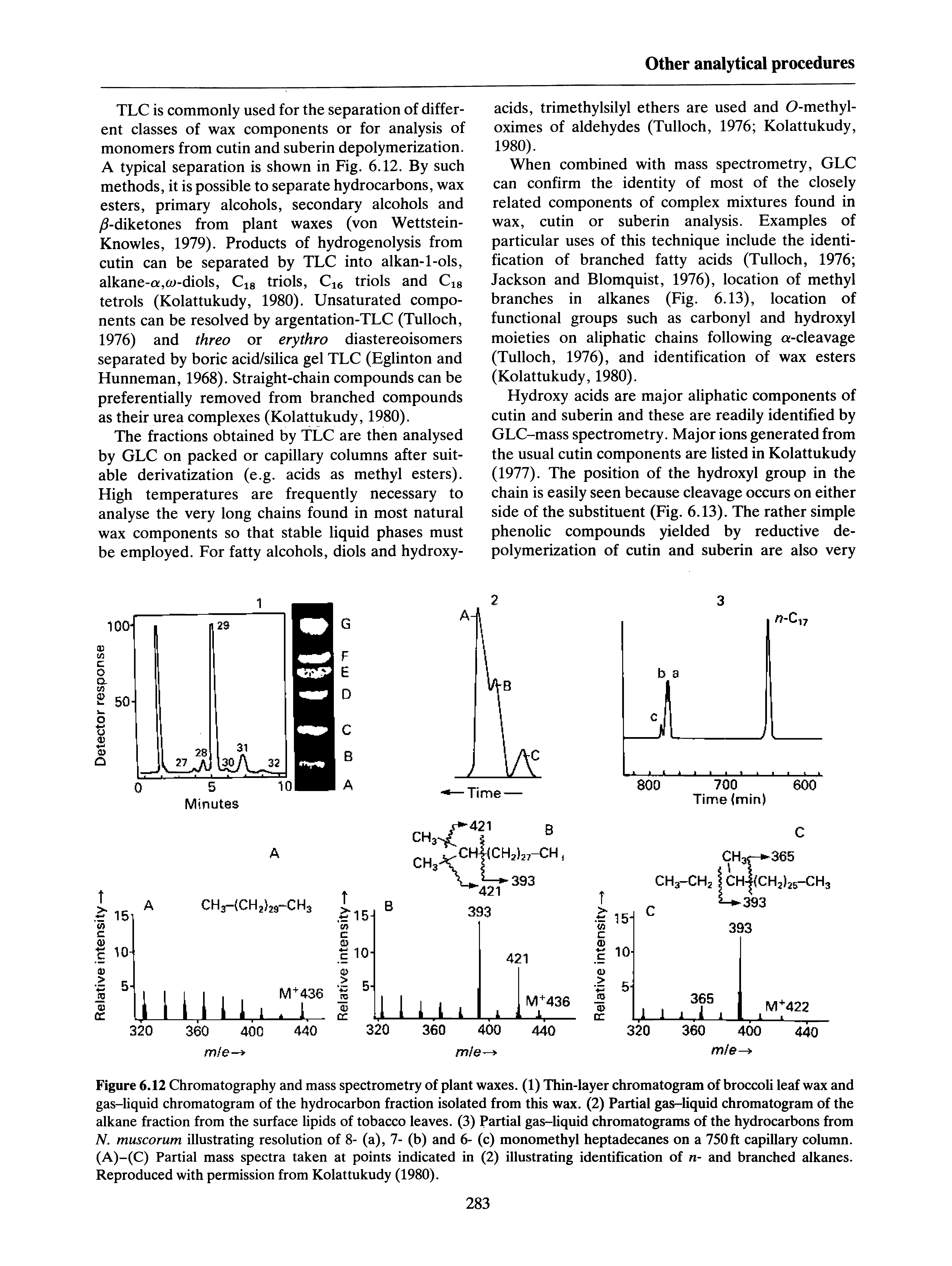 Figure 6.12 Chromatography and mass spectrometry of plant waxes. (1) Thin-layer chromatogram of broccoli leaf wax and gas-liquid chromatogram of the hydrocarbon fraction isolated from this wax. (2) Partial gas-liquid chromatogram of the alkane fraction from the surface lipids of tobacco leaves. (3) Partial gas-liquid chromatograms of the hydrocarbons from N. muscorum illustrating resolution of 8- (a), 7- (b) and 6- (c) monomethyl heptadecanes on a 750ft capillary column. (A)-(C) Partial mass spectra taken at points indicated in (2) illustrating identification of n- and branched alkanes. Reproduced with permission from Kolattukudy (1980).