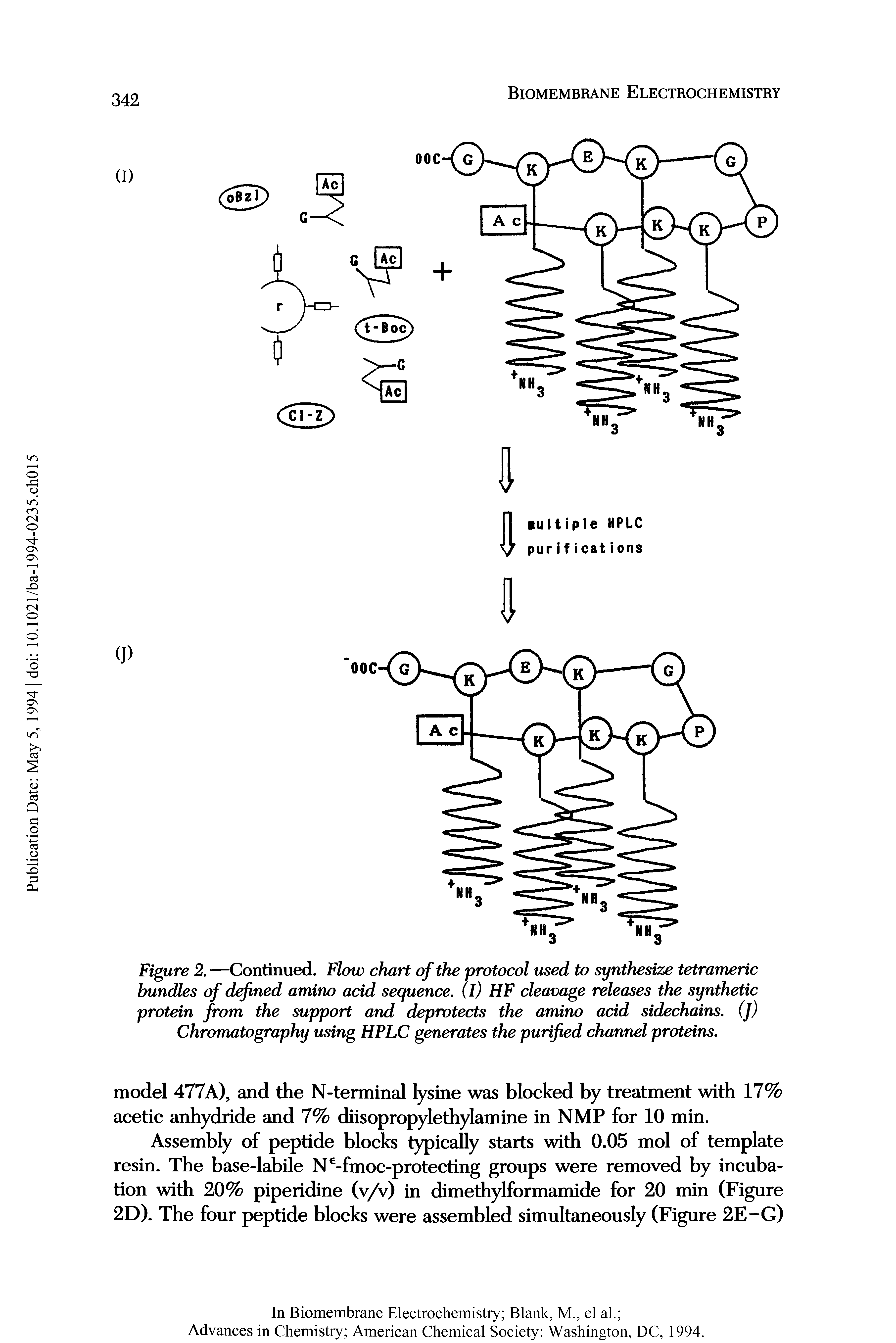 Figure 2. —Continued. Flow chart of the protocol used to synthesize tetrameric bundles of defined amino acid sequence. (I) HF cleavage releases the synthetic protein from the support and deprotects the amino acid sidechains. (]) Chromatography using HPLC generates the purified channel proteins.