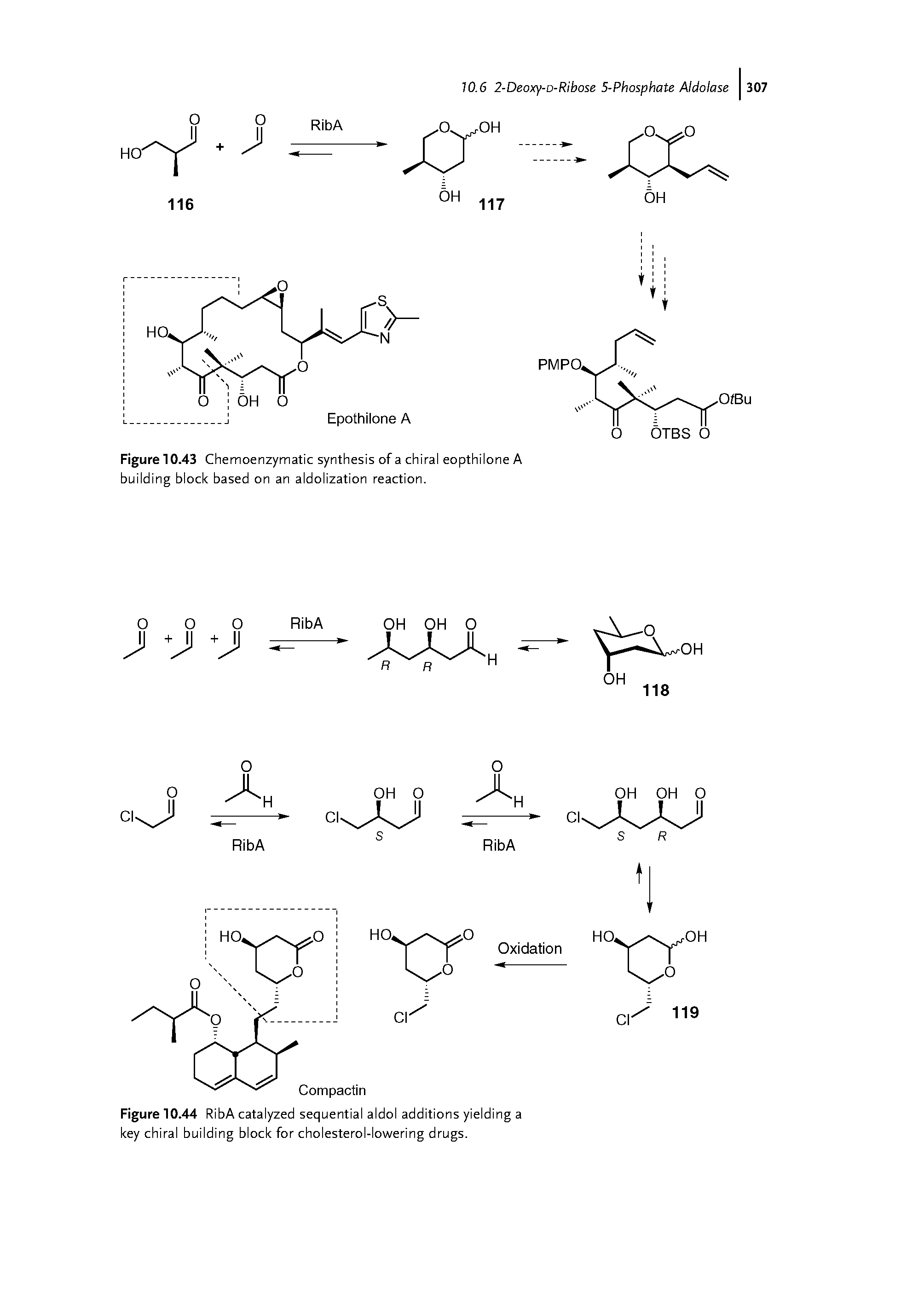 Figure 10.43 Chemoenzymatic synthesis of a chiral eopthilone A building block based on an aldolization reaction.