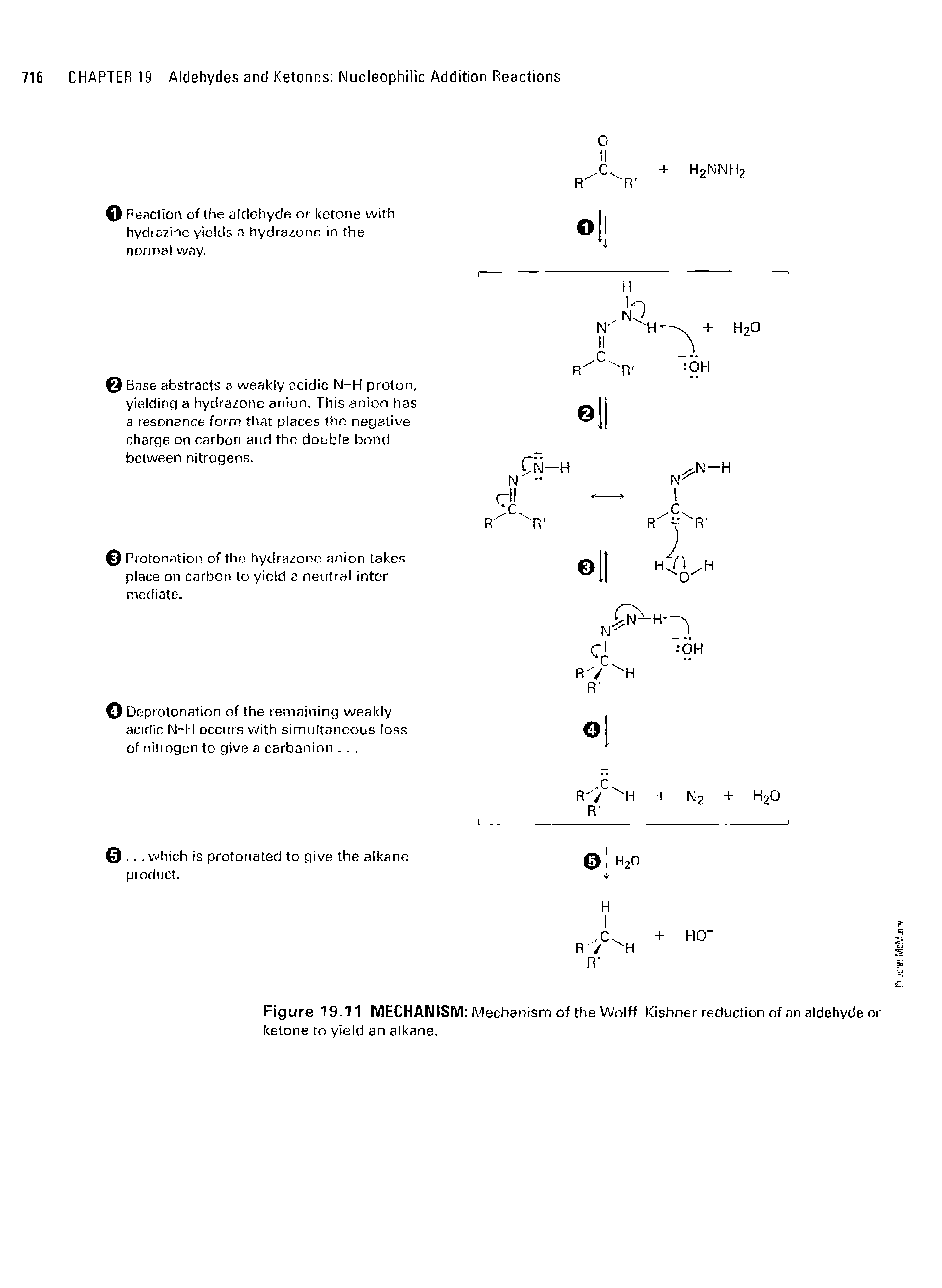 Figure 19.11 MECHANISM Mechanism of the Wolff-Kishner reduction of an aldehyde or ketone to yield an alkane.