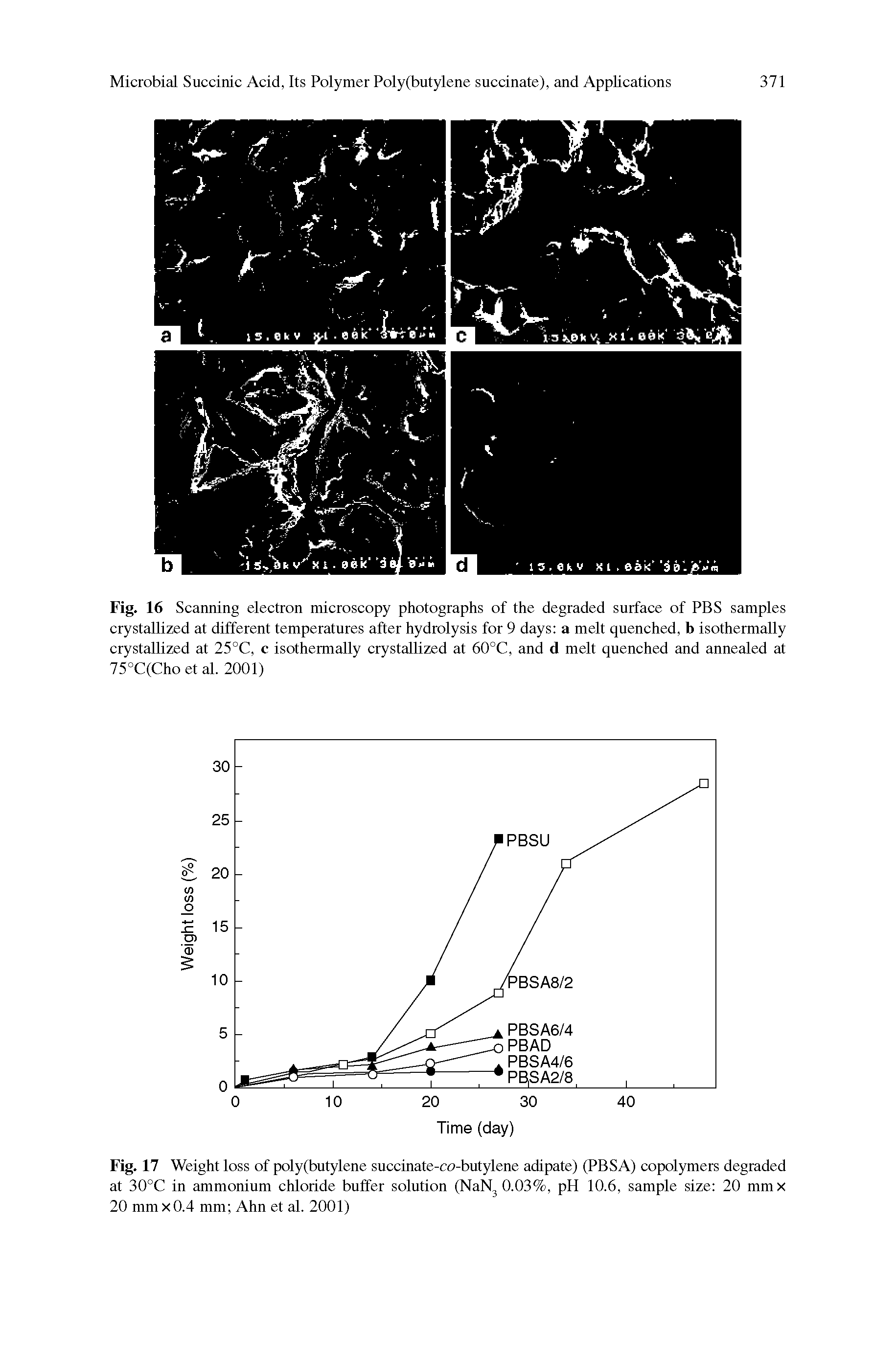 Fig. 17 Weight loss of poly(butylene succinate-co-butylene adipate) (PBSA) copolymers degraded at 30°C in ammonium chloride buffer solution (NaN 0.03%, pH 10.6, sample size 20 mmx 20 mmx0.4 mm Ahn et al. 2001)...
