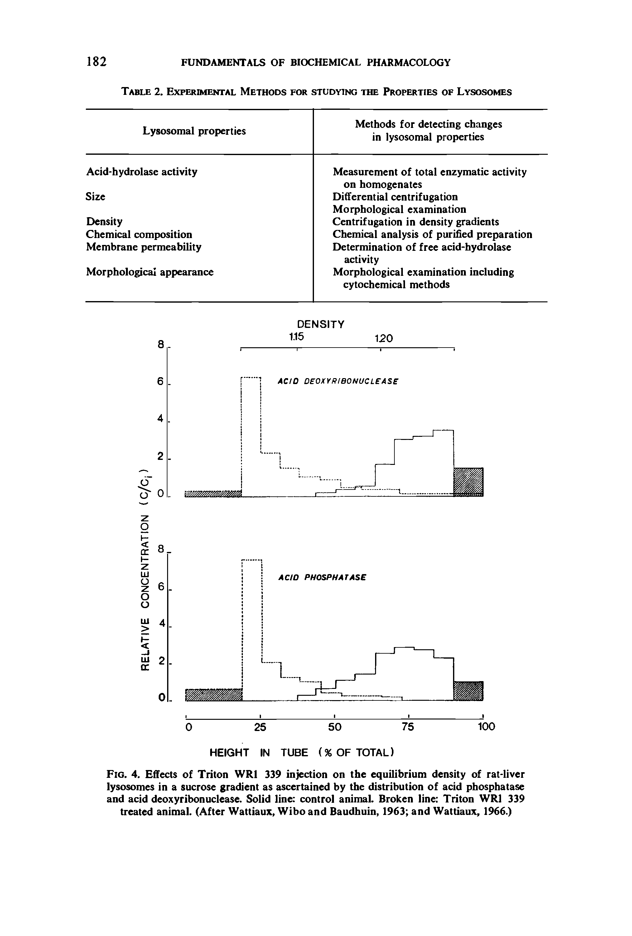 Fig. 4. EflFects of Triton WRl 339 injection on the equilibrium density of rat-liver lysosomes in a sucrose gradient as ascertained by the distribution of acid phosphatase and acid deoxyribonuclease. Solid line control animaL Broken line Triton WRl 339 treated animal. (After Wattiaux, Wibo and Baudhuin, 1963 and Wattiaux, 1%6.)...