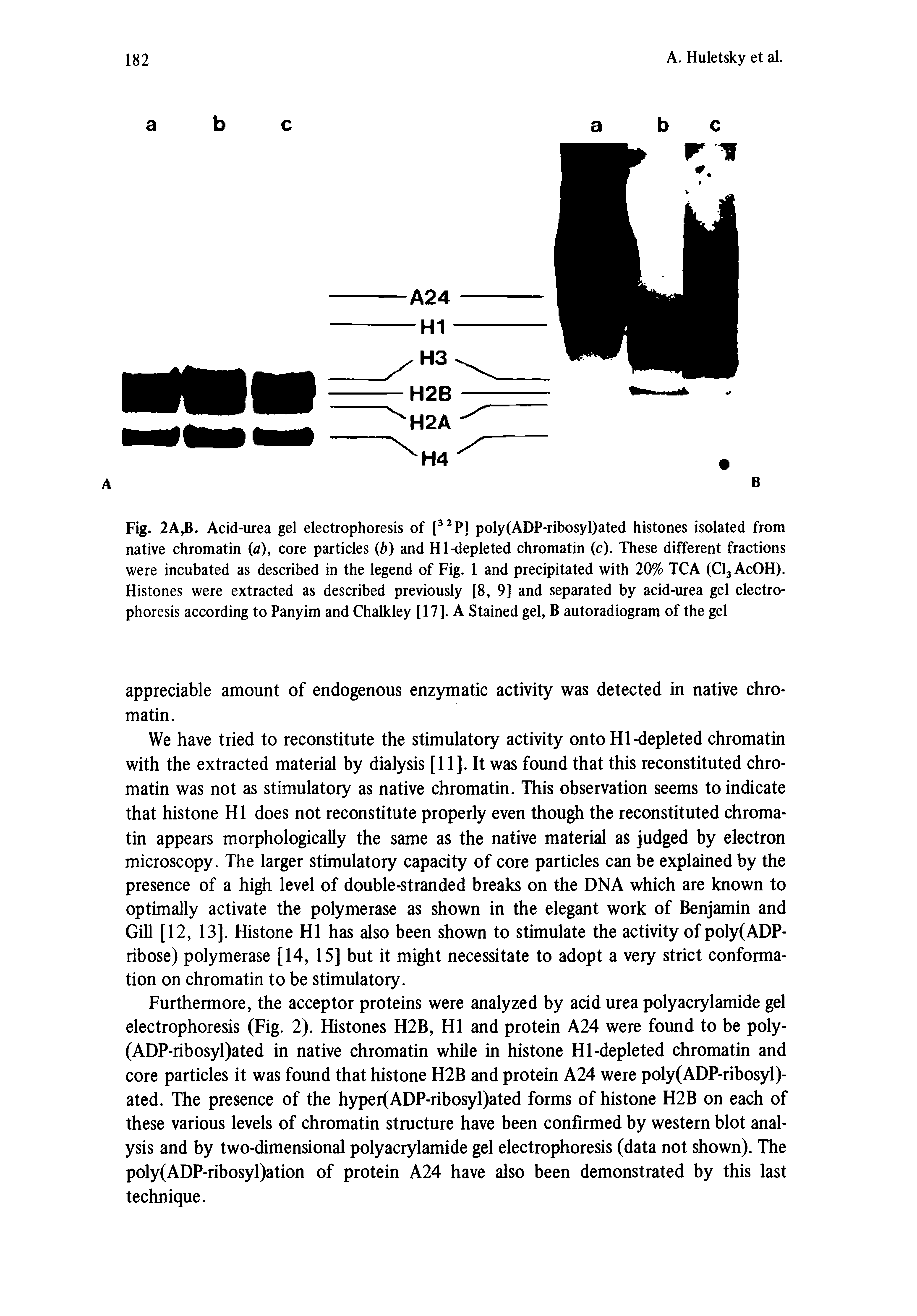 Fig. 2A,B. Acid-urea gel electrophoresis of [ Pj poly(ADP-ribosyl)ated histones isolated from native chromatin (at), core particles b) and Hl-depleted chromatin (c). These different fractions were incubated as described in the legend of Fig. 1 and precipitated with 20% TCA (ClgAcOH). Histones were extracted as described previously [8, 9] and separated by acid-urea gel electrophoresis according to Panyim and Chalkley [17]. A Stained gel, B autoradiogram of the gel...